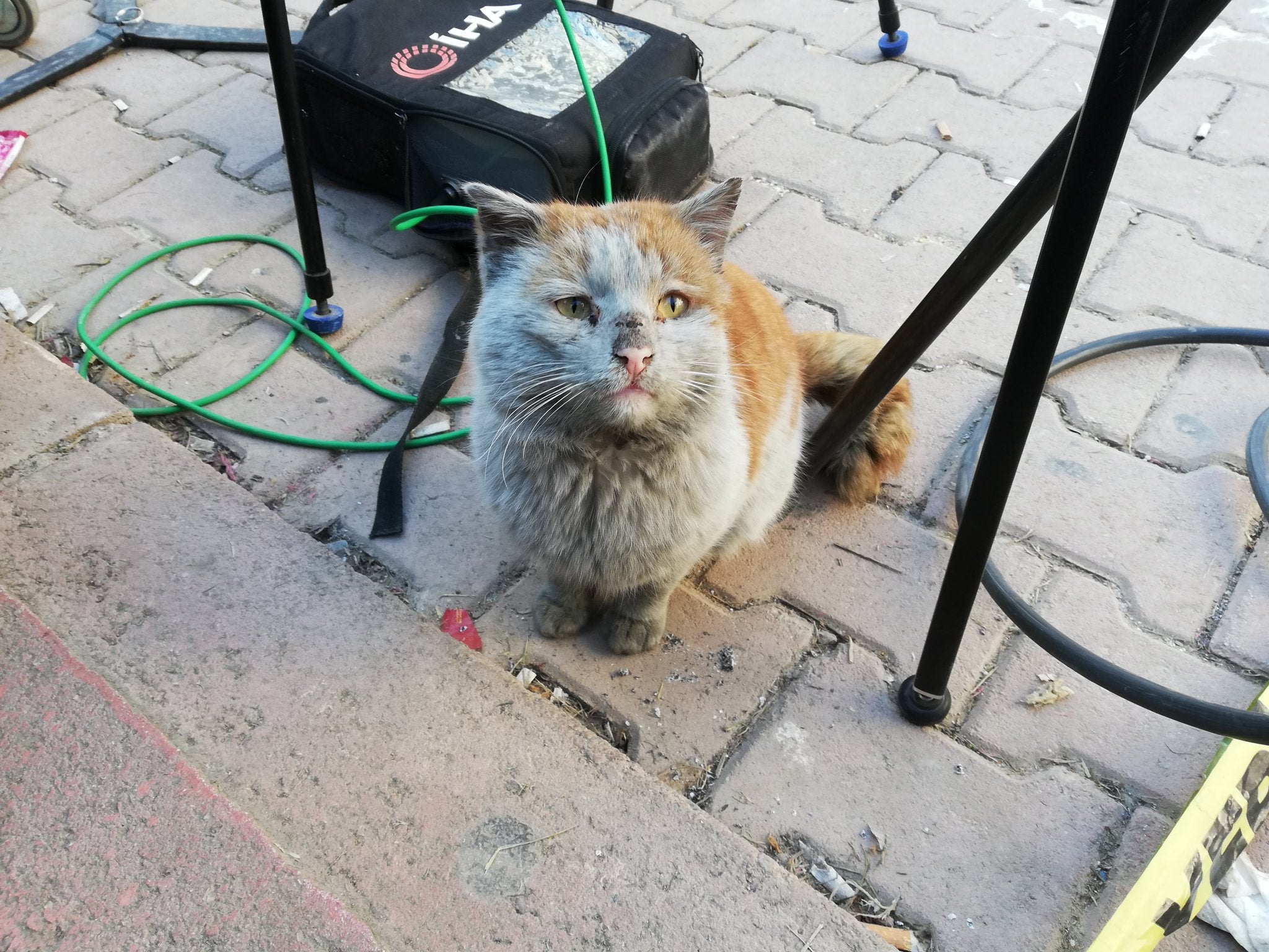 A 6.8 magnitude earthquake survivor from Turkey. Don't worry she is