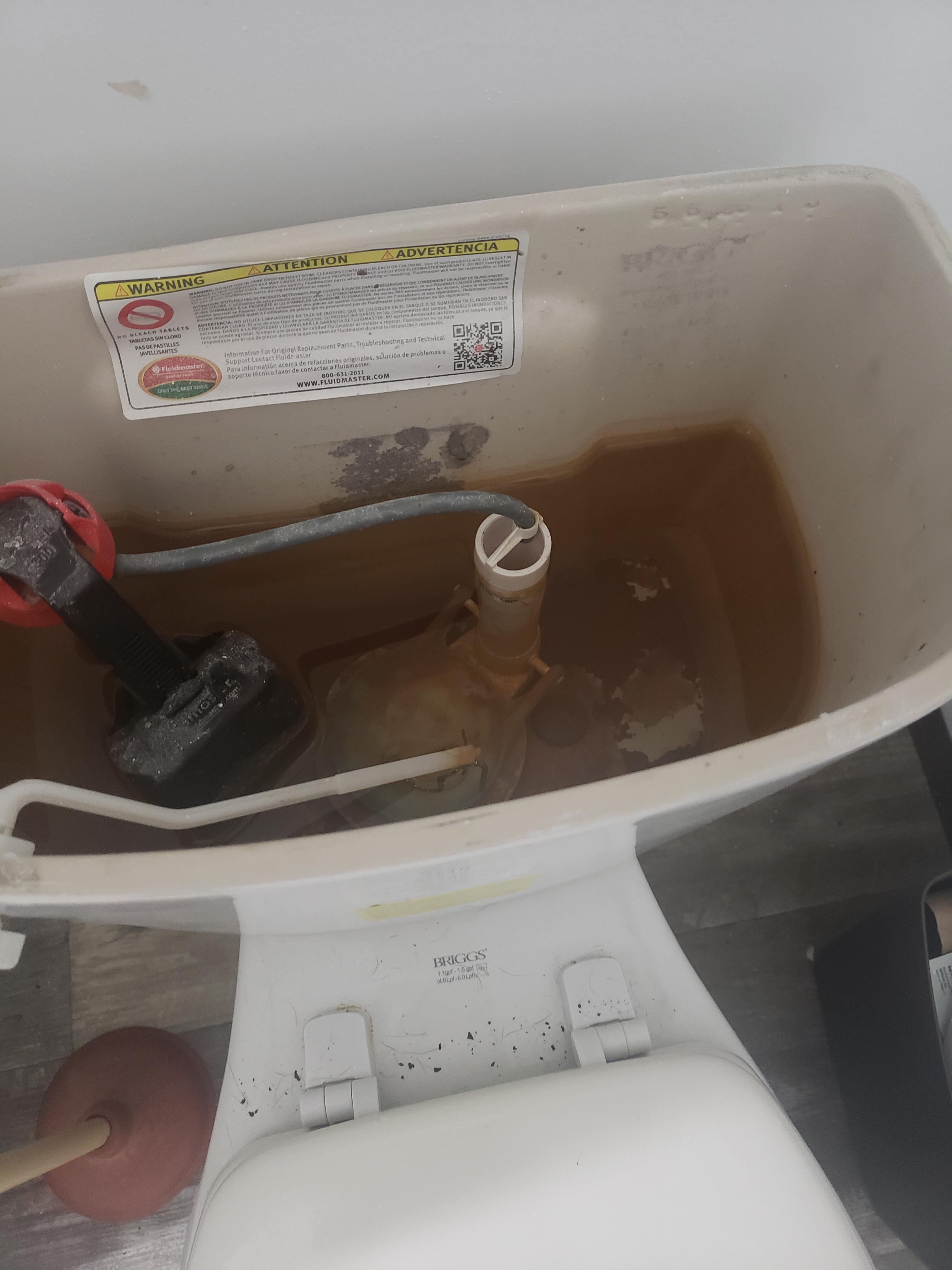 Only 8 months old! Bleached the well when we moved in, and 1.5 months