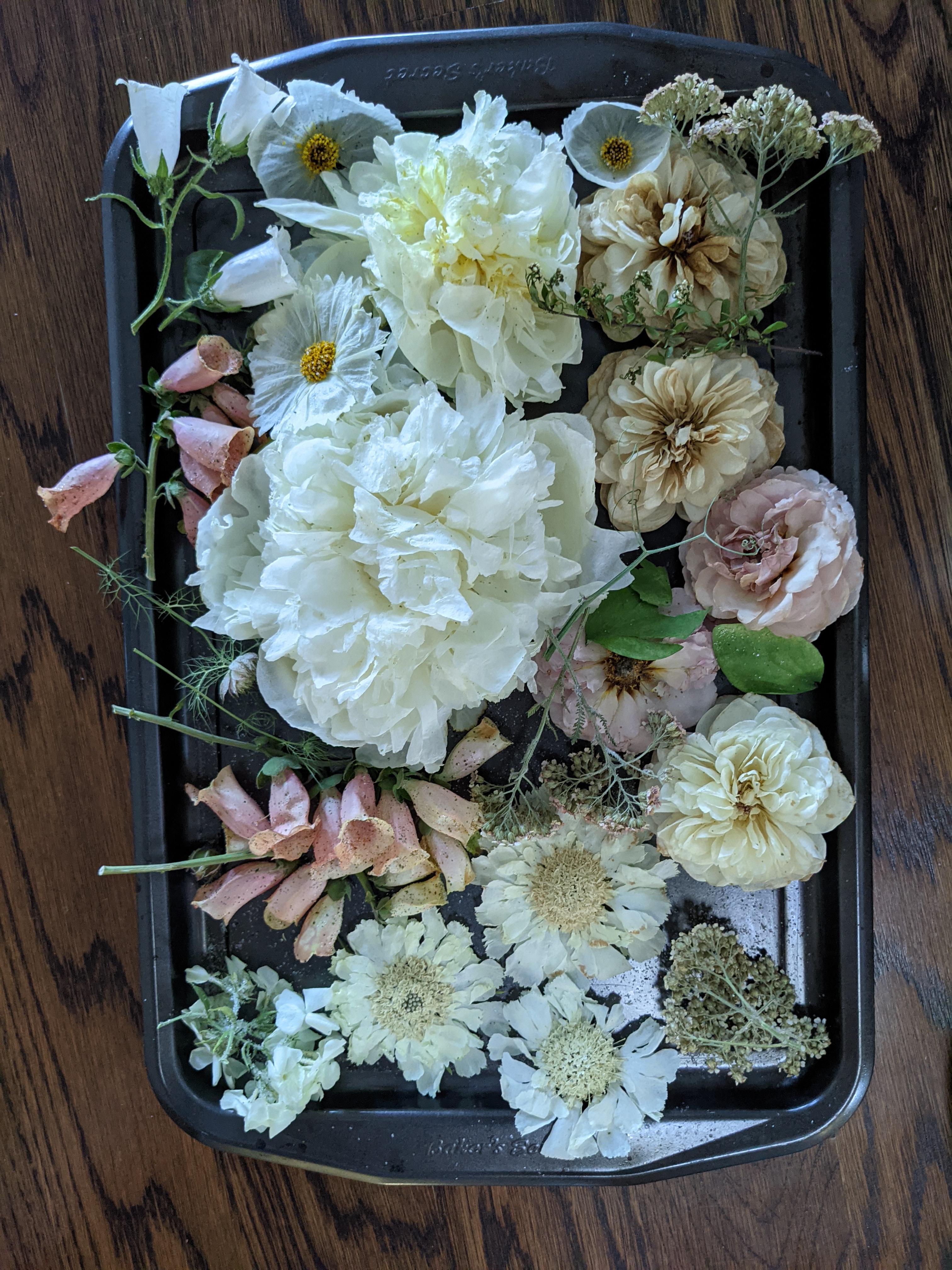 Dried my friends wedding flowers in silica gel! Pretty easy but can't