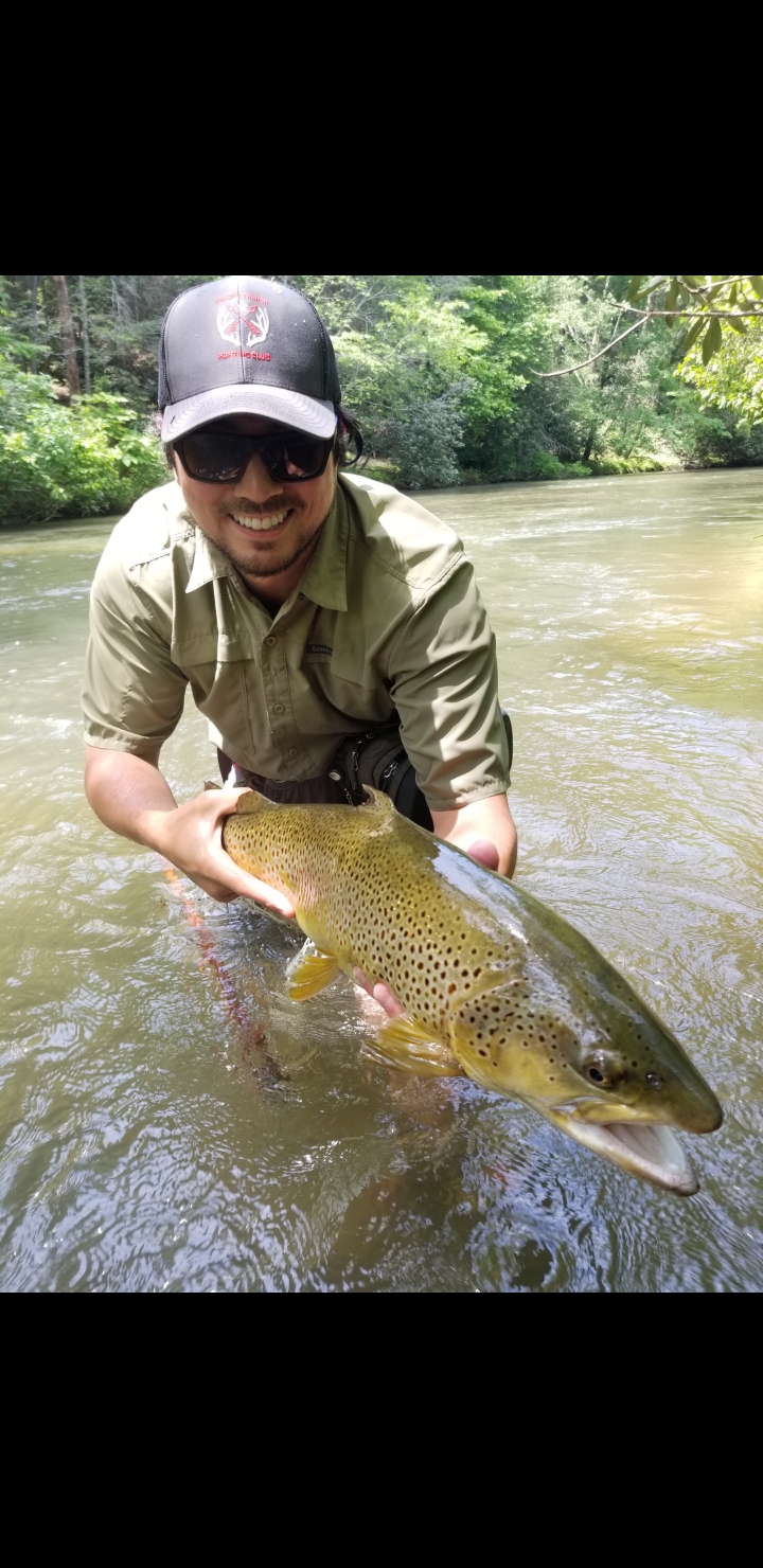 I've been searching for this trout for years. North Brown! r
