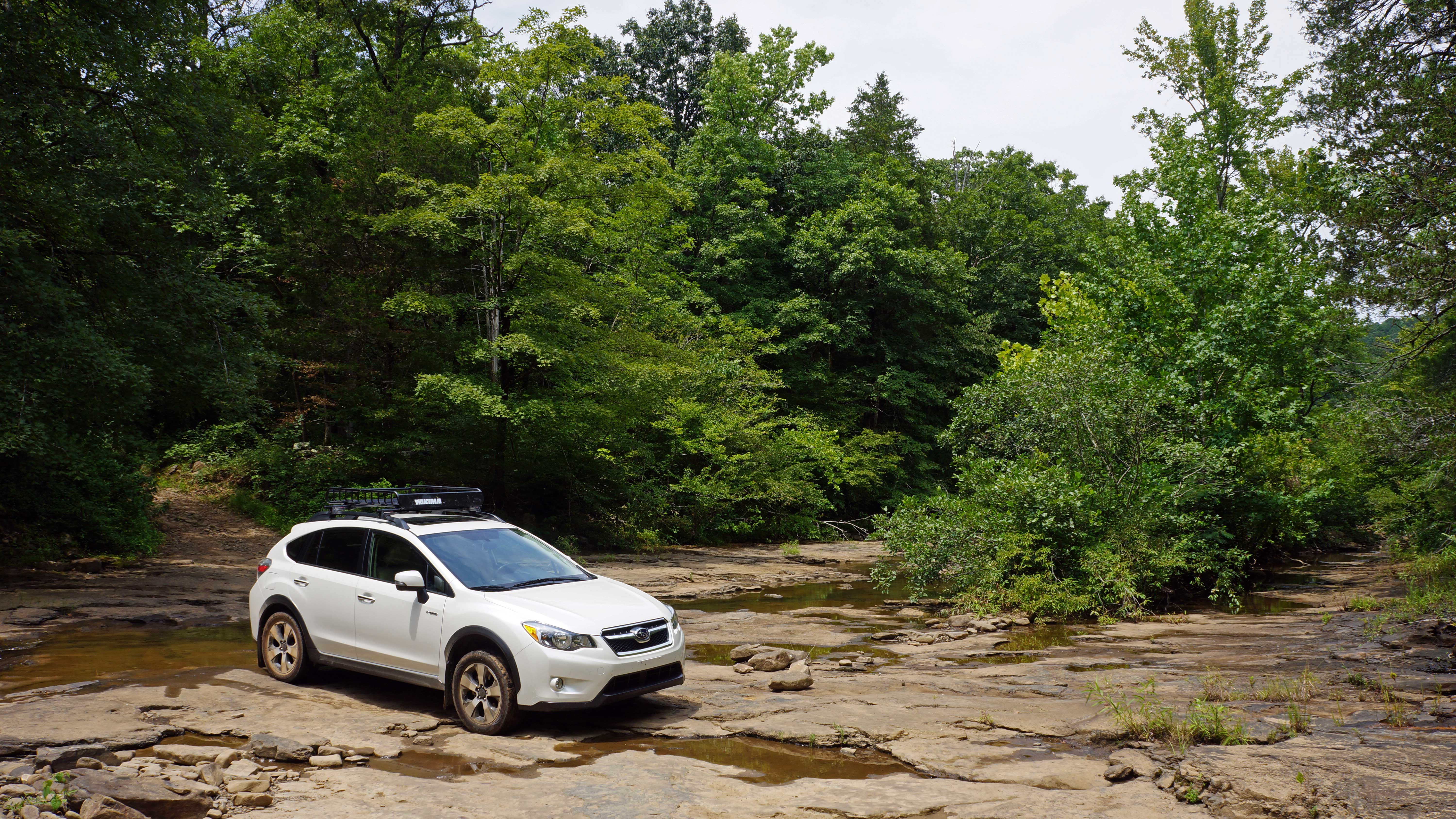 An old logging road on the North Fork of the Illinois Bayou. Victor