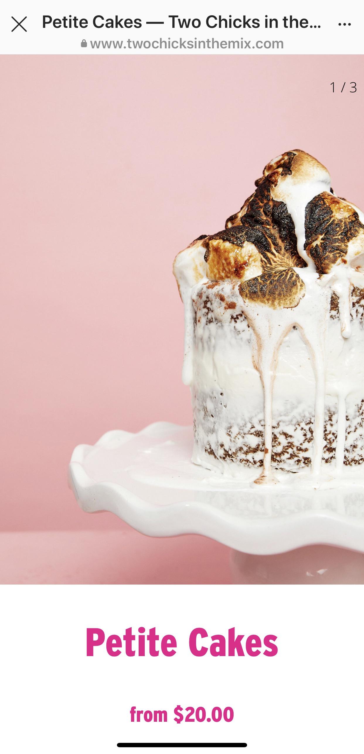 S’mores custom cake from Oakland’s own TWO CHICKS IN THE MIX. 20 for