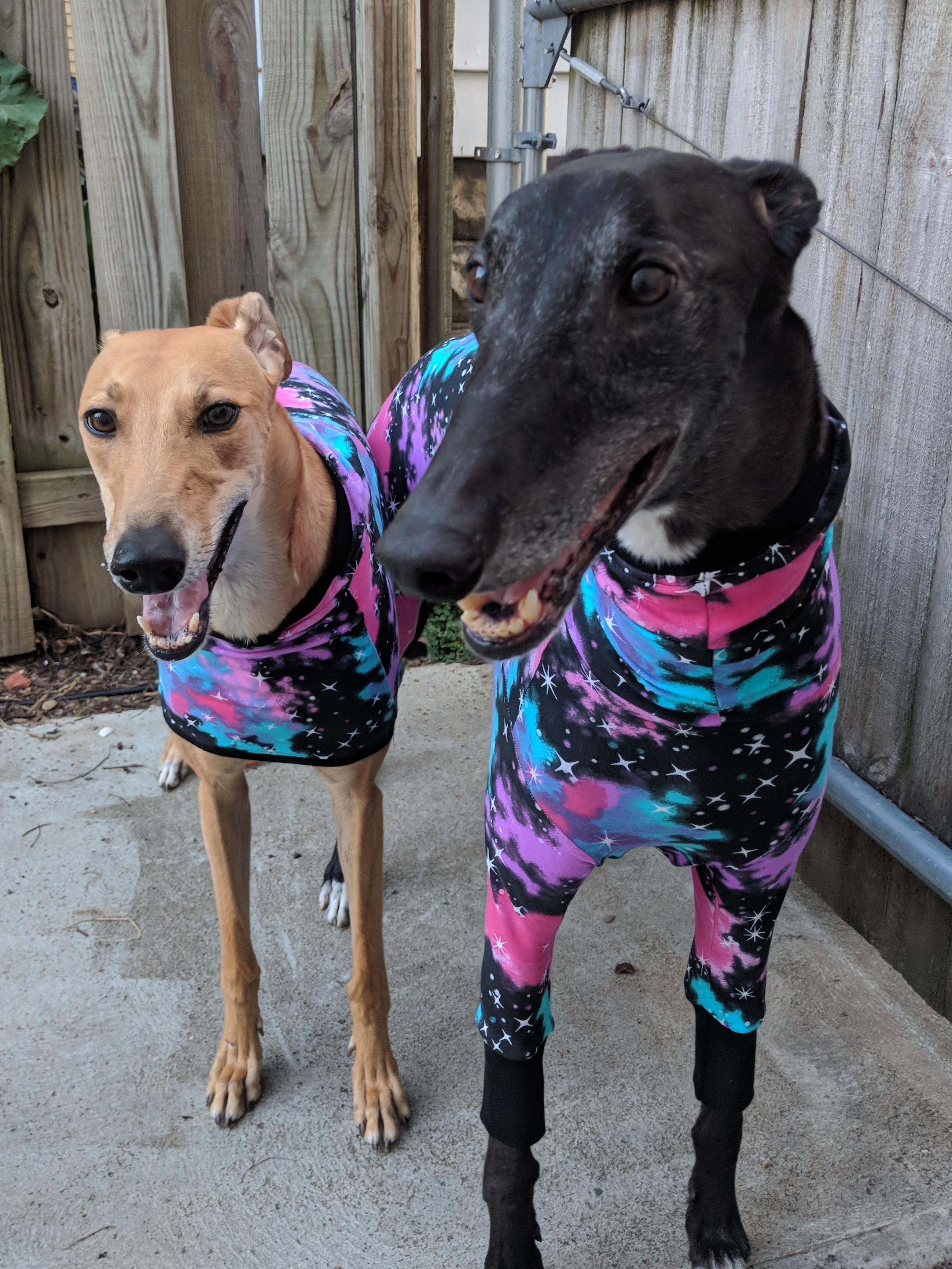 Matching jumpers! r/Eyebleach