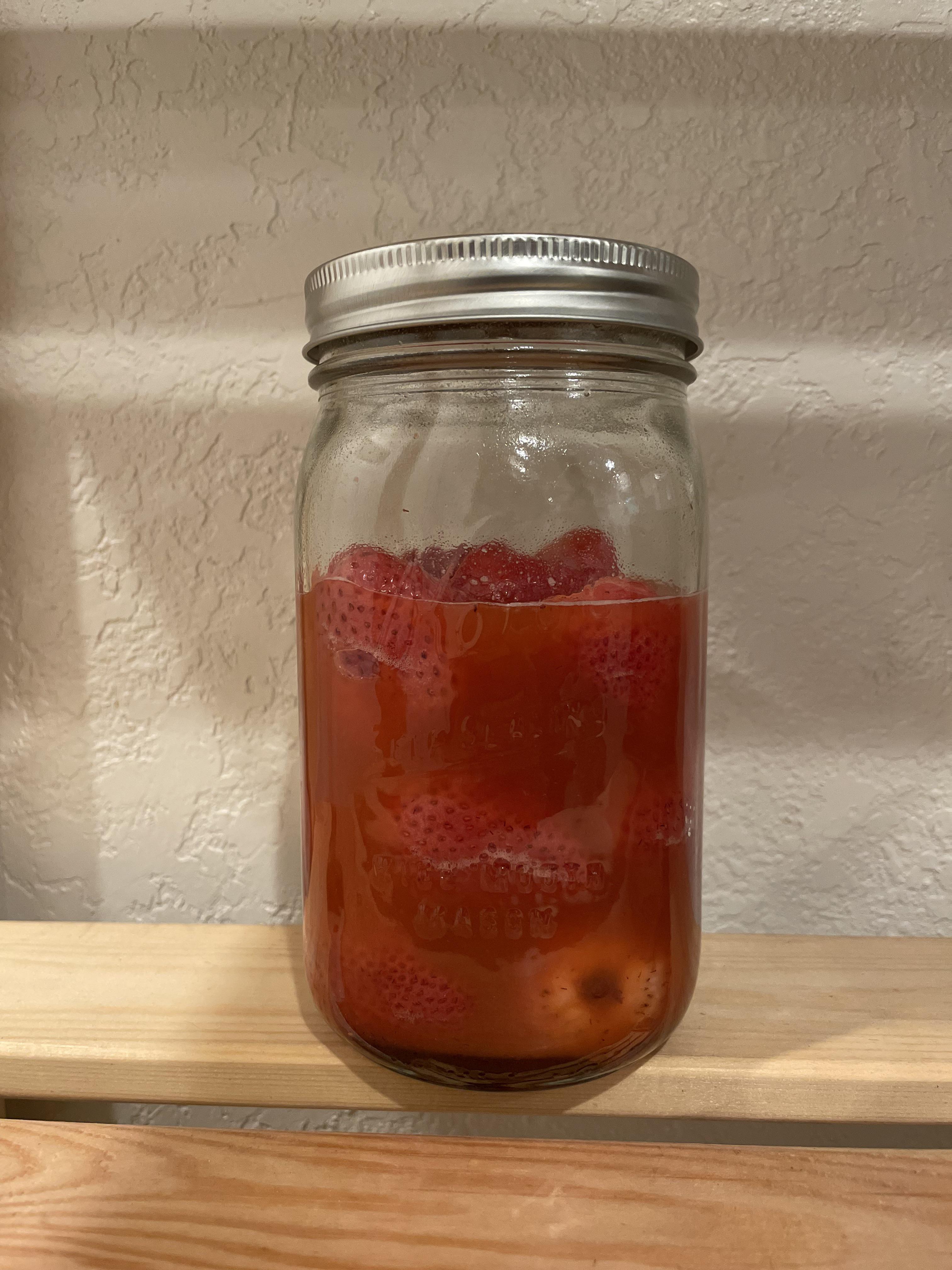 first strawberry ferment r/fermentation