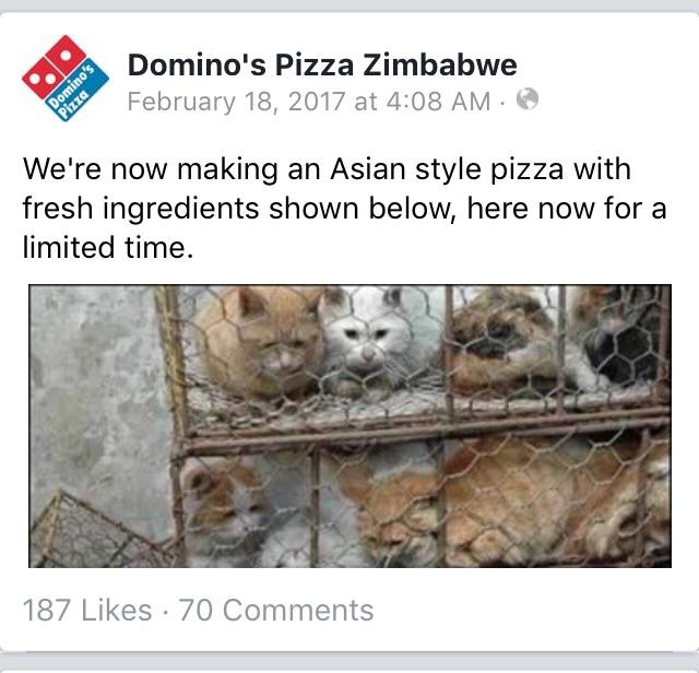 ah yes some good pizza, thank you Domino’s Zimbabwe