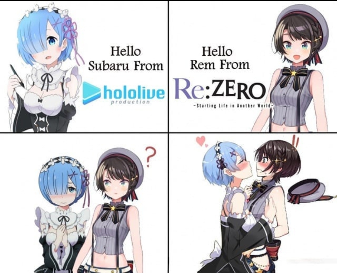 [Meme] I think Rem is settling for any subaru xD Re_Zero