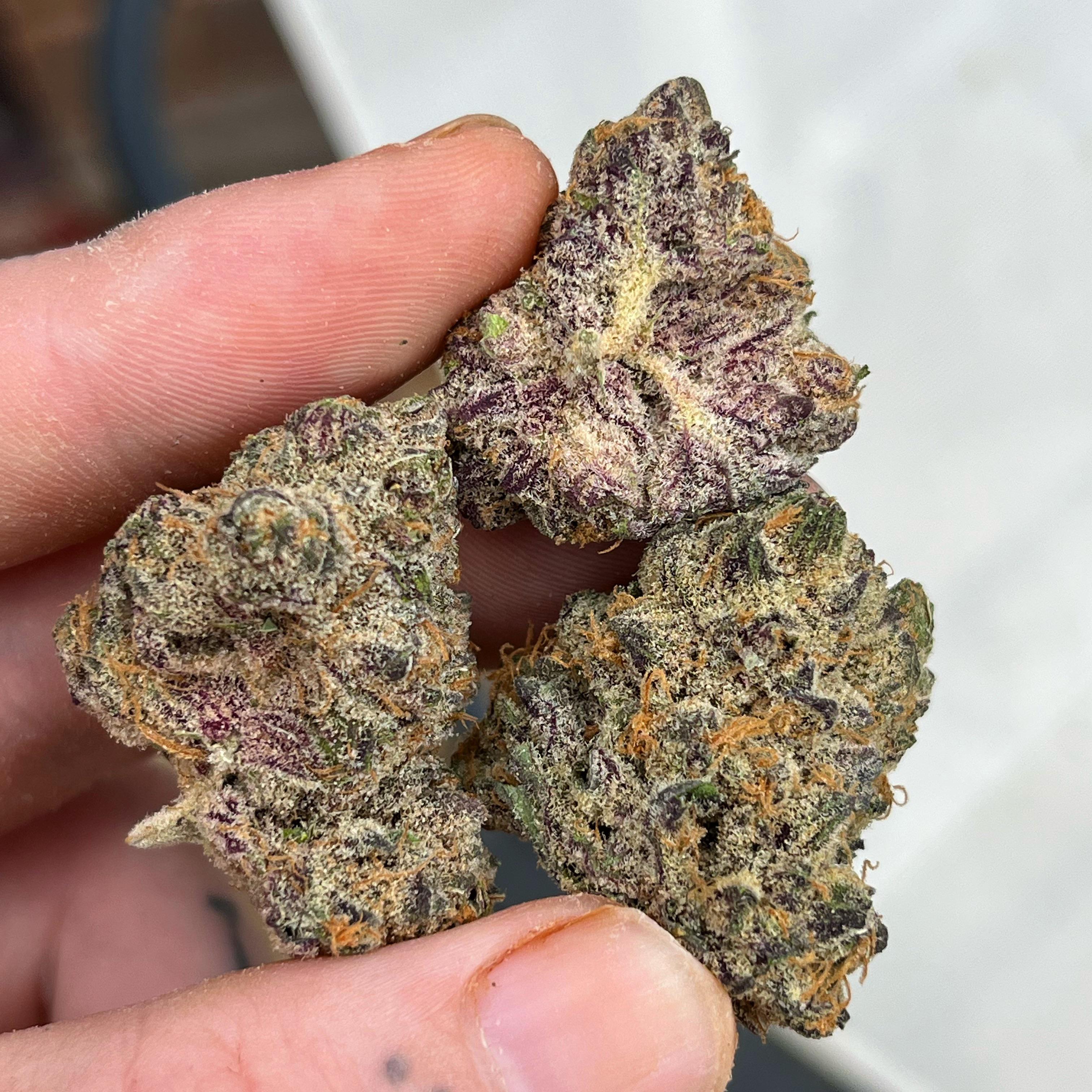 Pie face (cherry pie x face off OG) got this crazy sweet n sour cherry