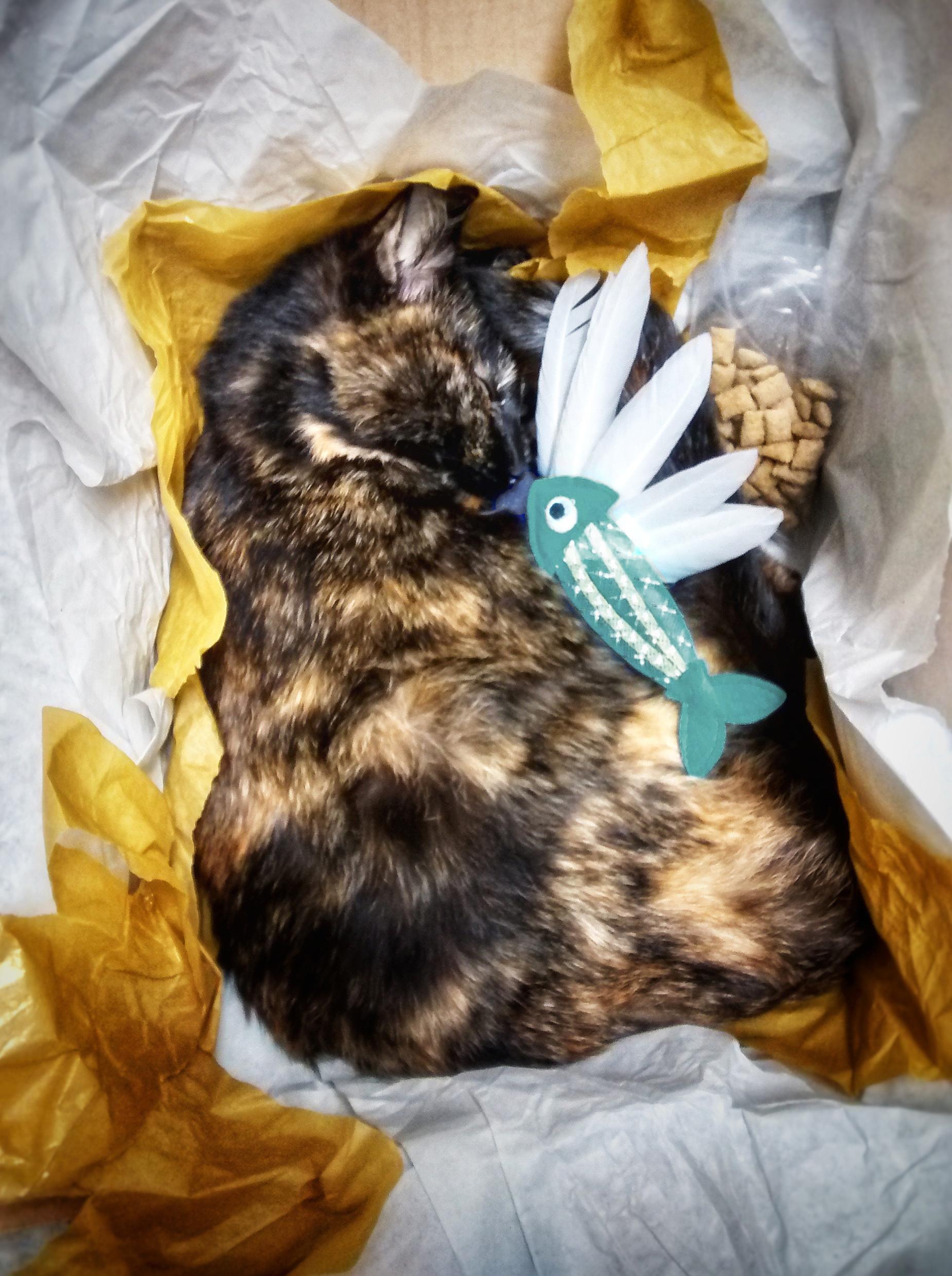 The final stage of grief is sharing your cat's last funeral photo r/death