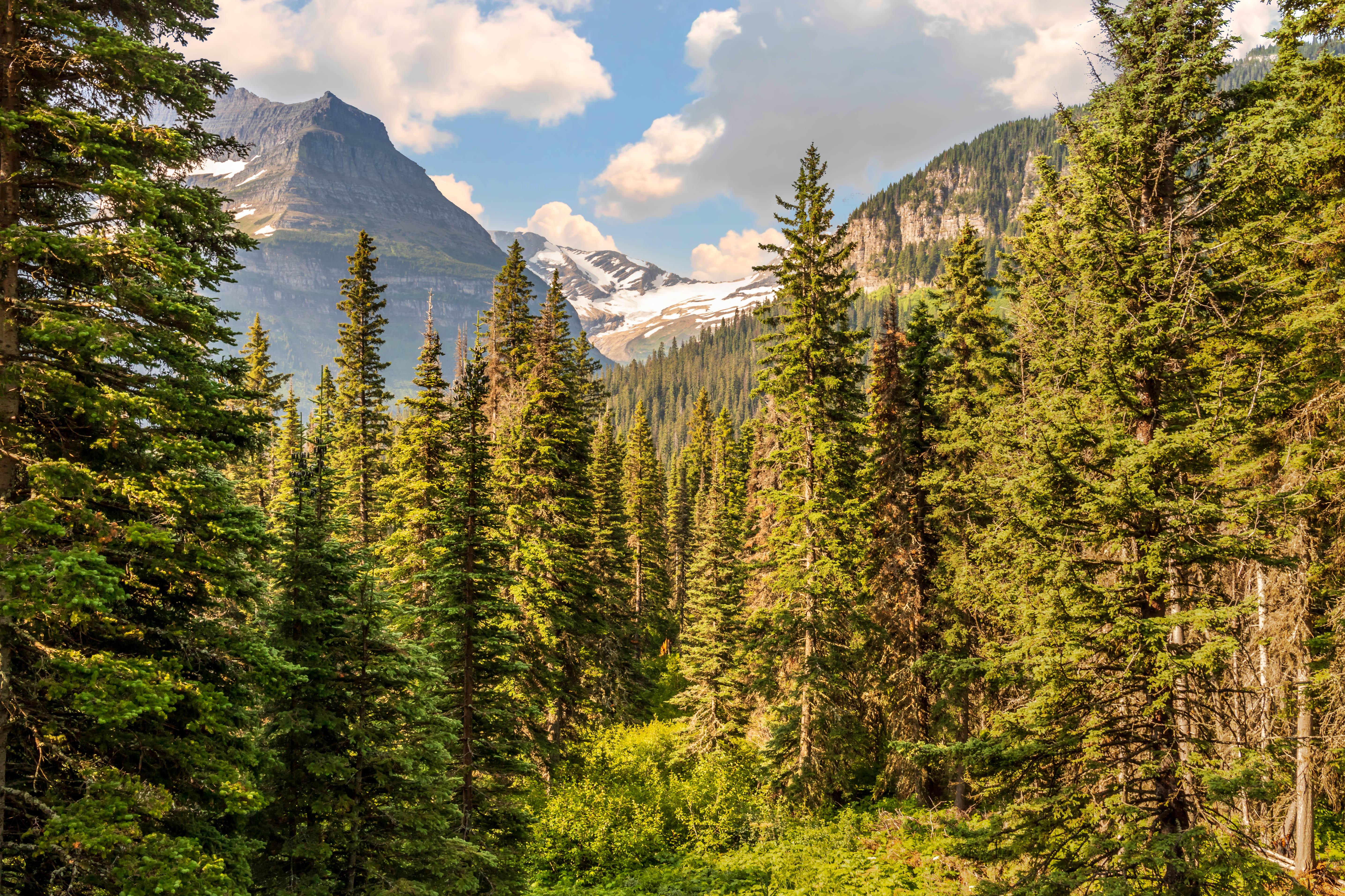 Jackson Glacier, 1 of last 25 active glaciers in Glacier National Park