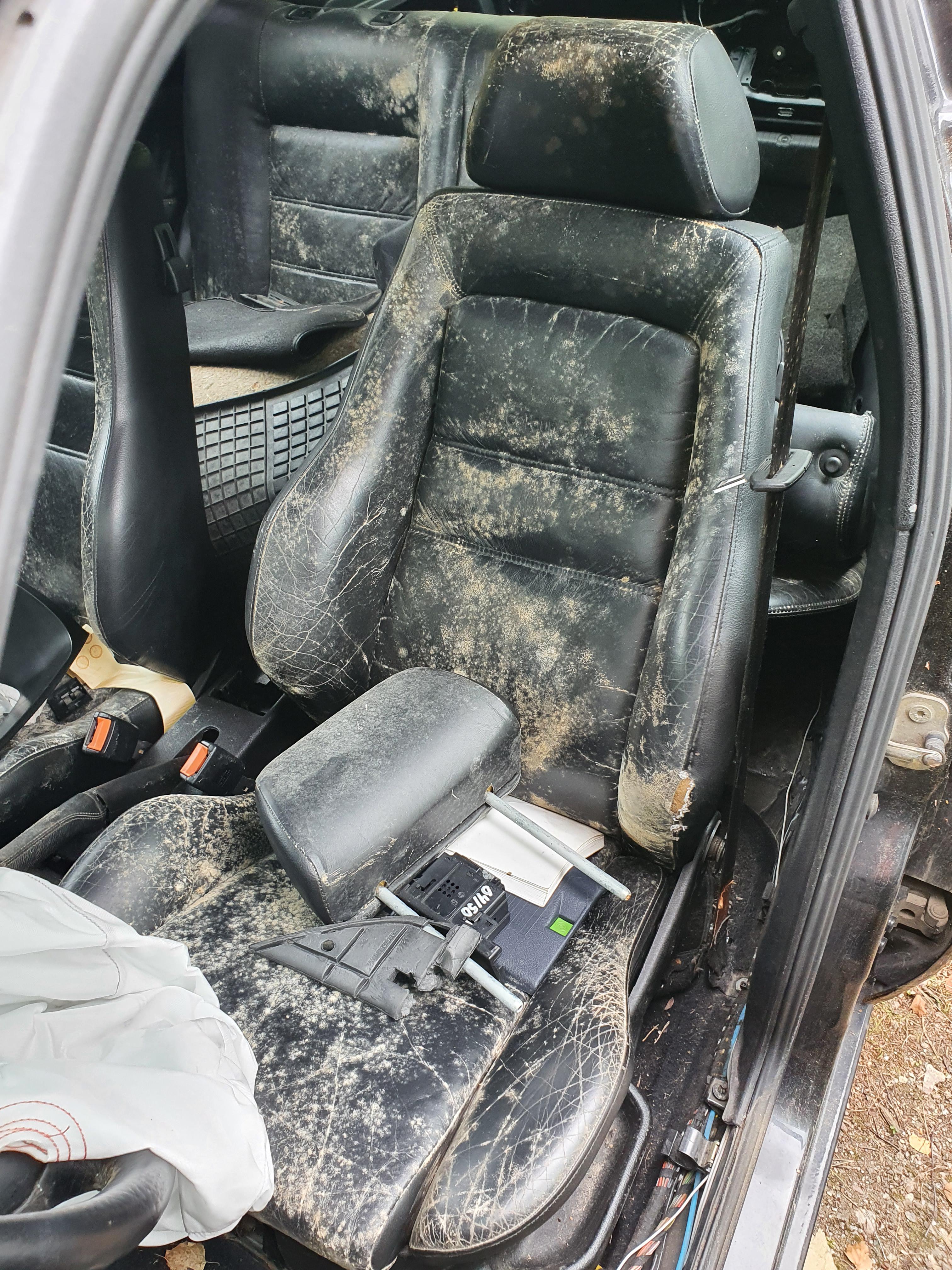 How do I clean moldy leather seats from the junk yard? r/Detailing