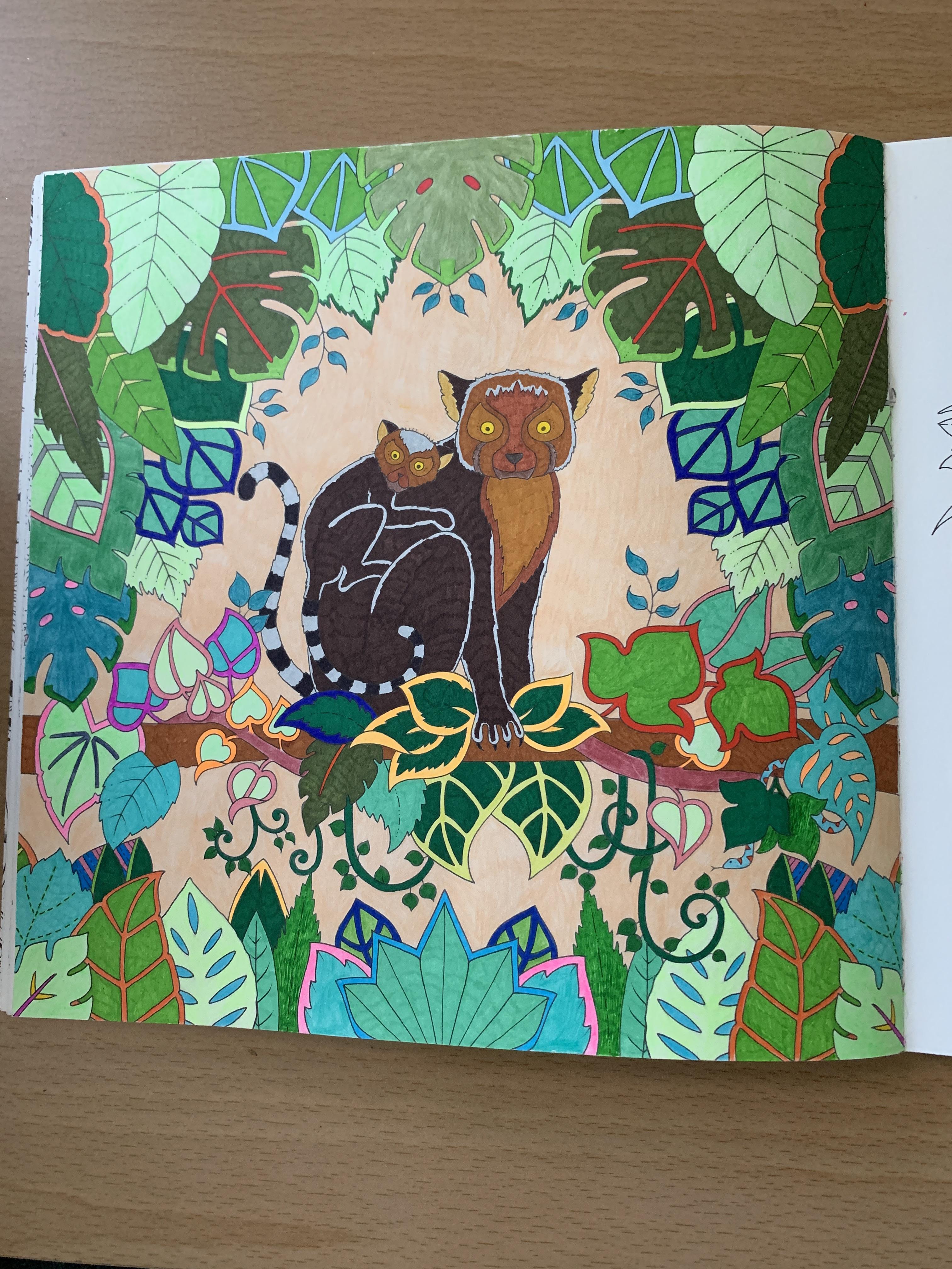 Magical Jungle Johanna Basford AdultColoring