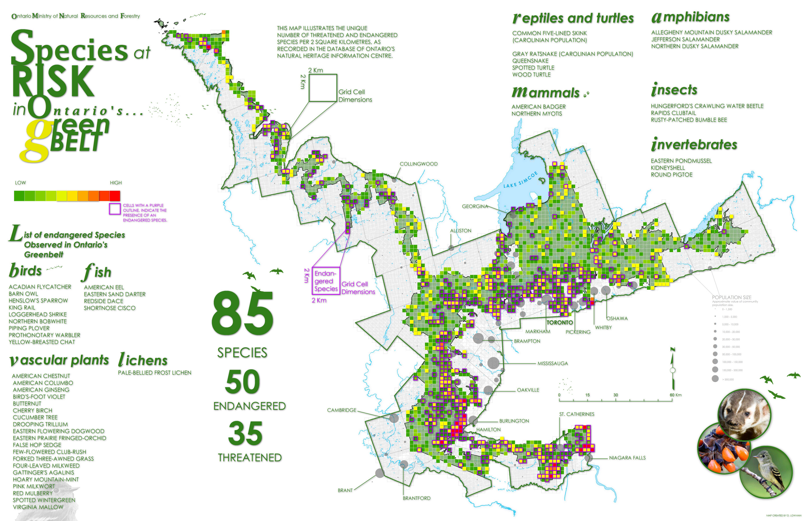 Species at Risk Distribution Green Belt Southern Ontario Canada [2800