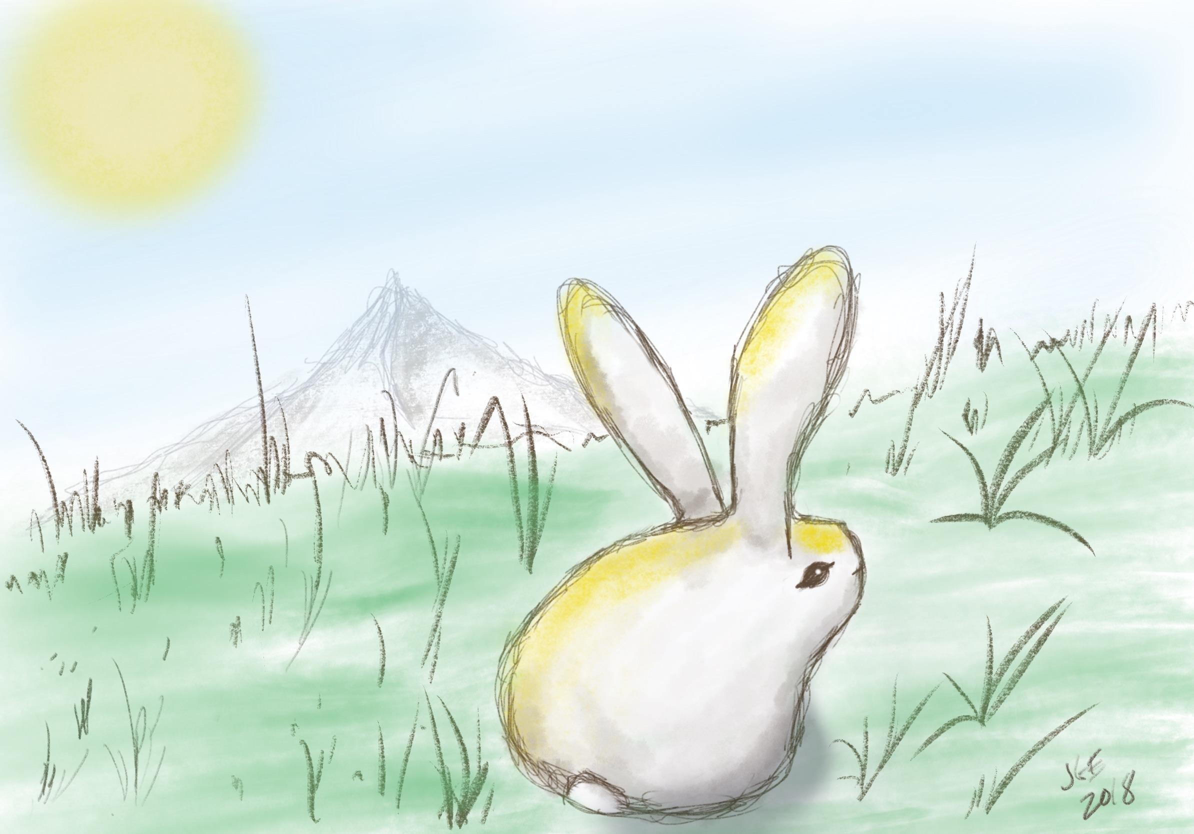 Bun in the Sun r/Rabbits