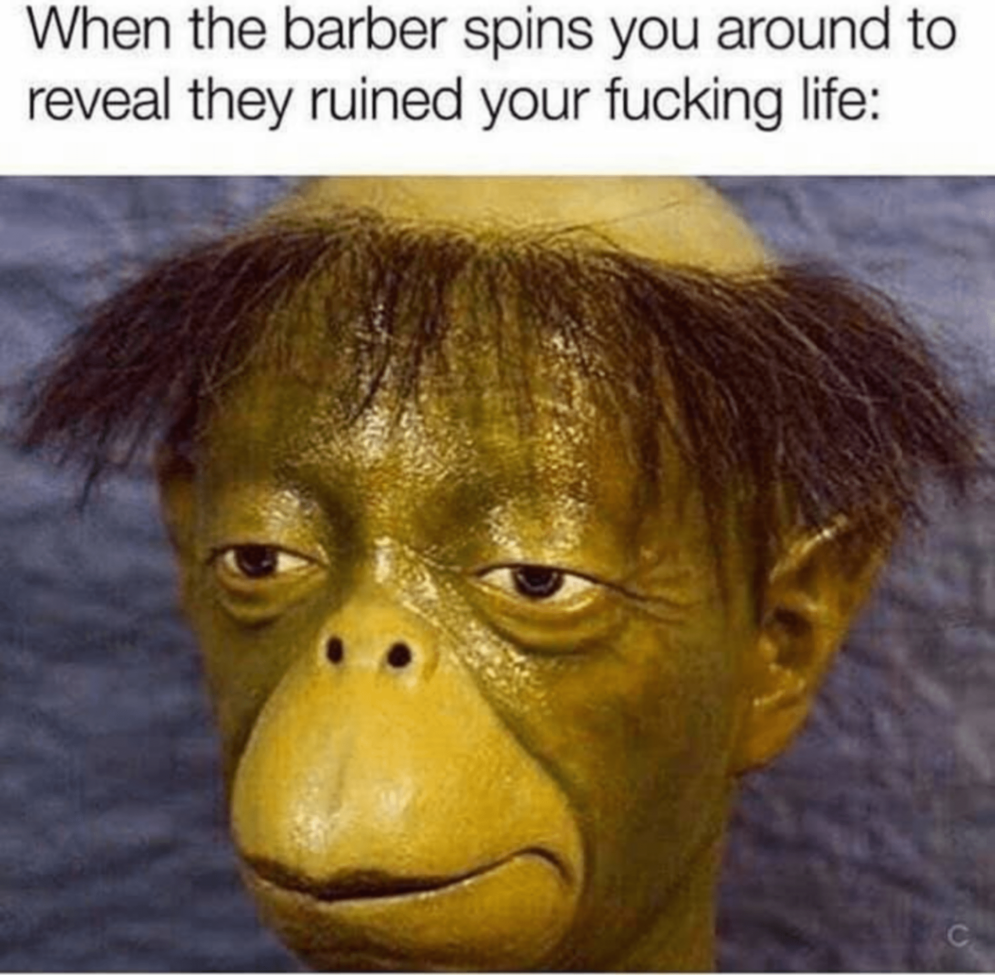 I asked for a little off the top not a buzz cut r/memes