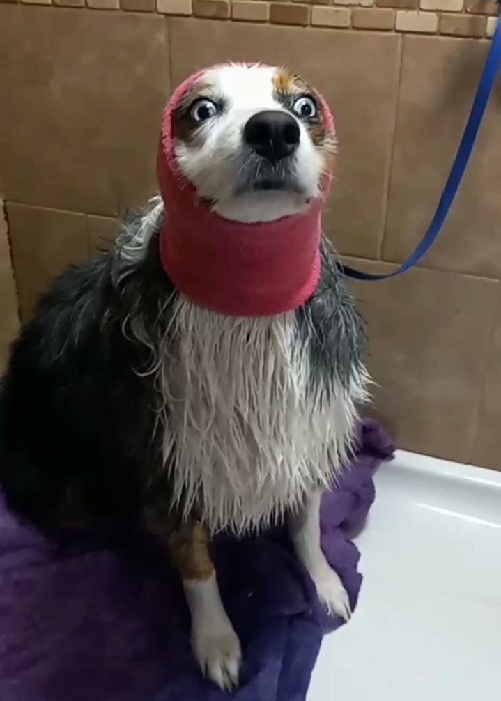 saw that we're posting happy hoodie photos so here's my favorite one