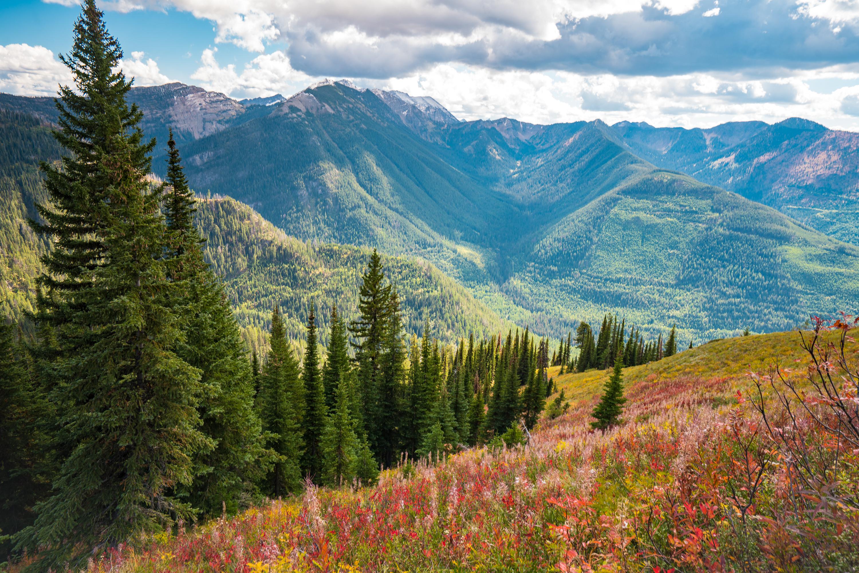 Fall in the Swan Mountains, Montana [oc][3000x2001] r/EarthPorn