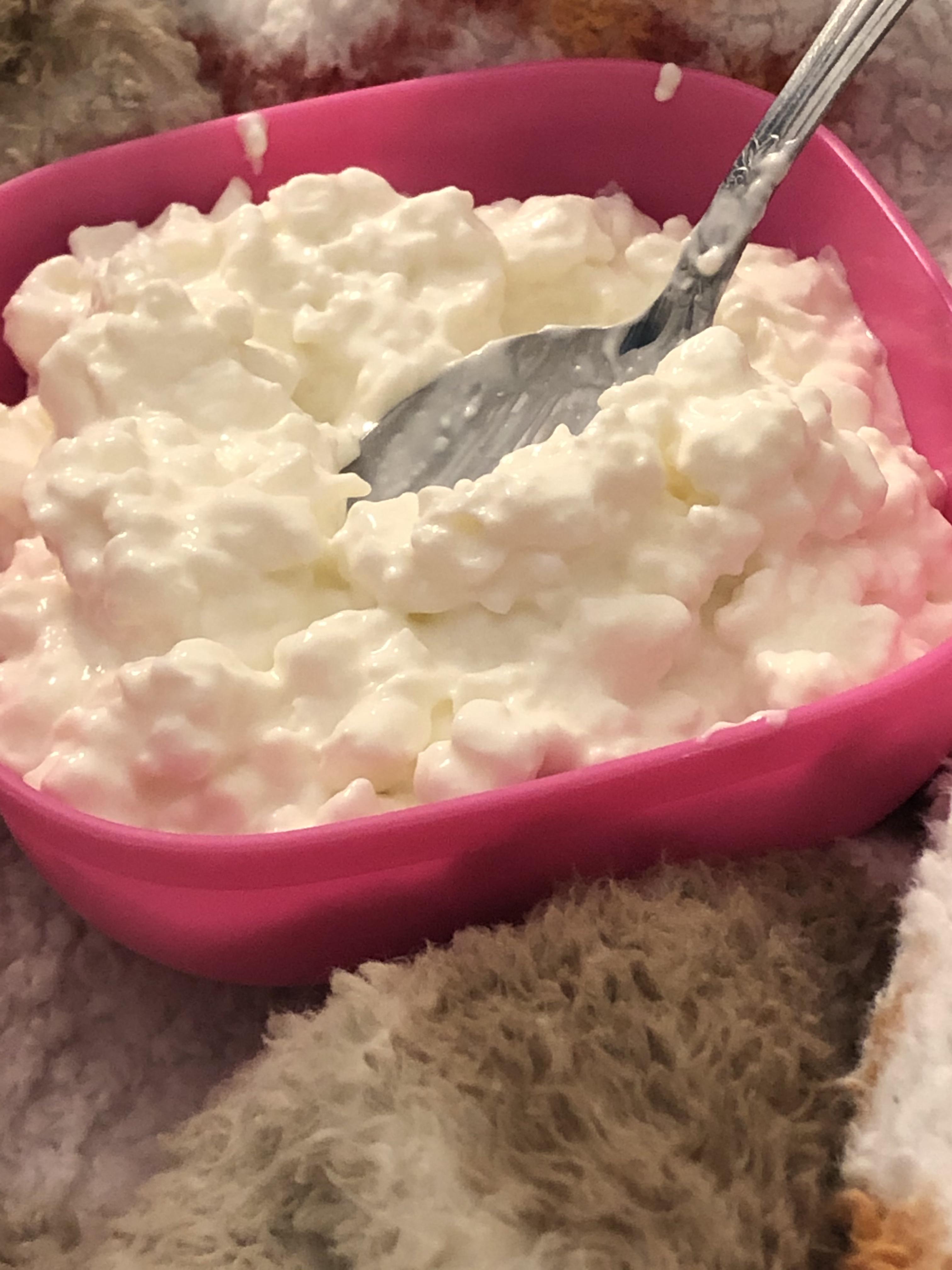 does cottage cheese count? It’s made from milk... r/Milk