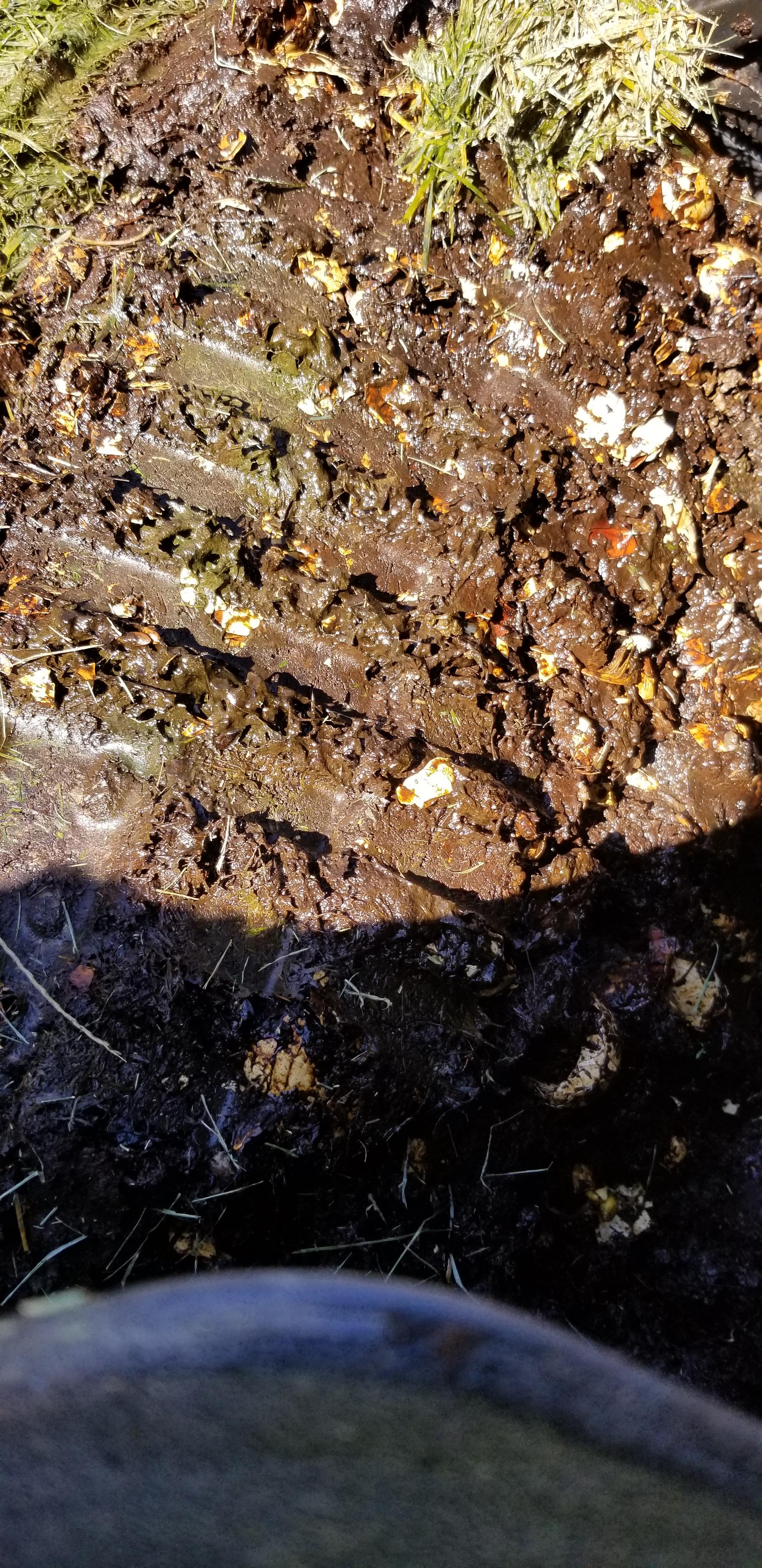 First time composer. Is it to wet? Smells like horse poo.