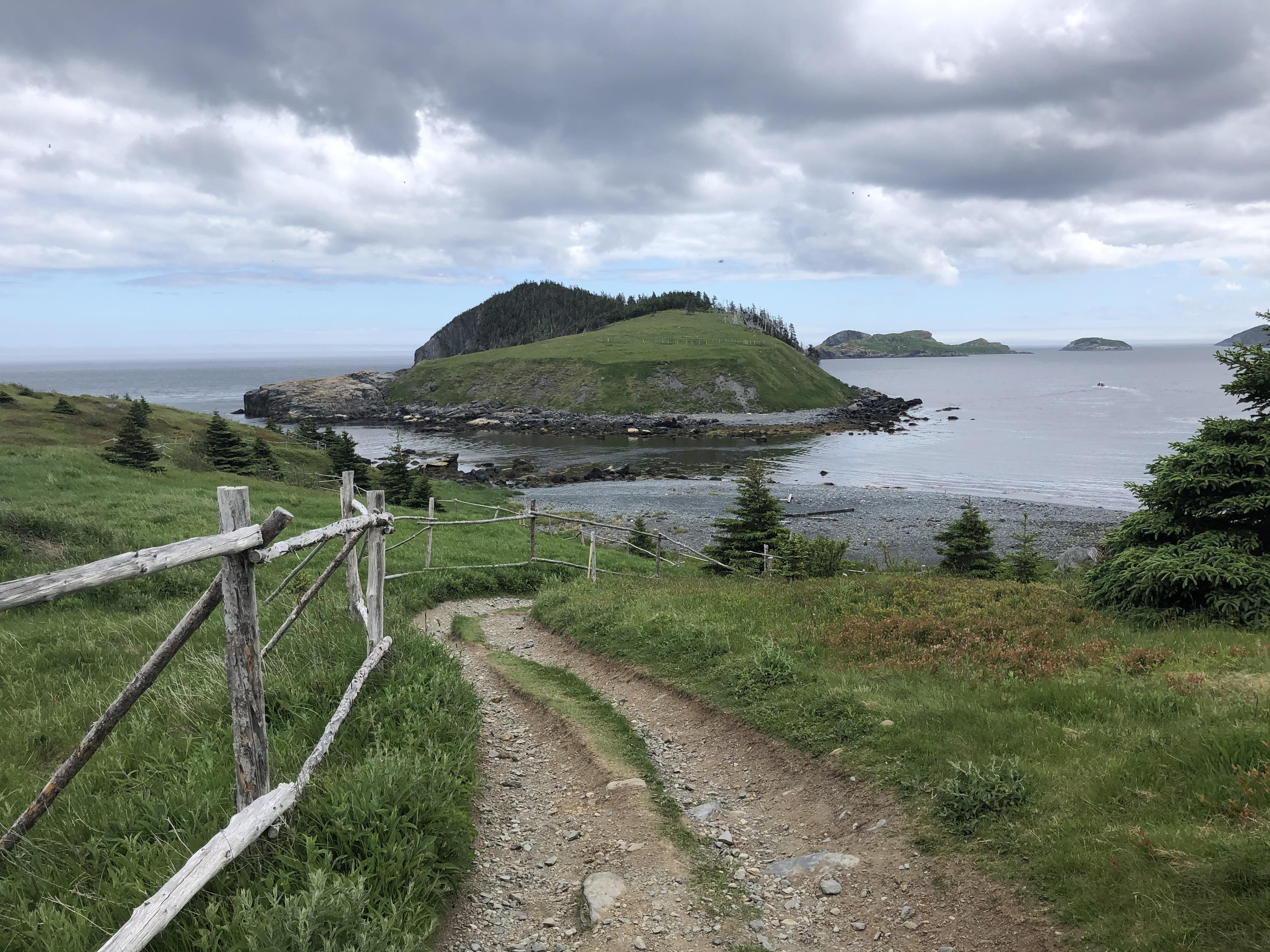 Cribbies Path, Tors Cove, NL, Canada r/hiking