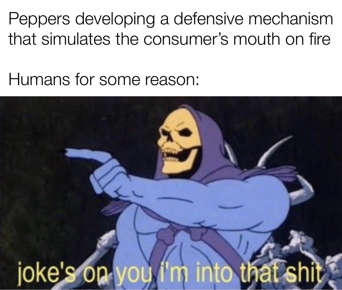 Proudly made while eating spicy food r/memes