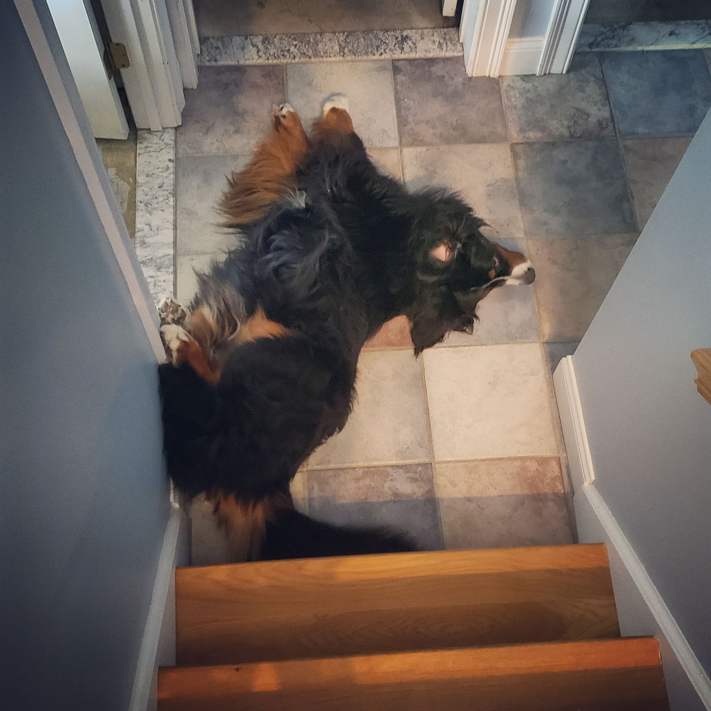 I found her like this thinking she fell down the stairs and broke her