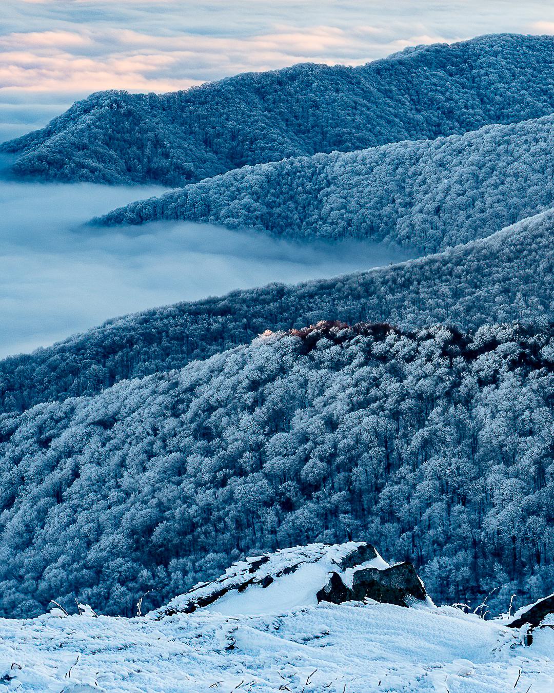 Hoar Frost on East Tennessee mountains 1350 x 1080 [OC] r/EarthPorn
