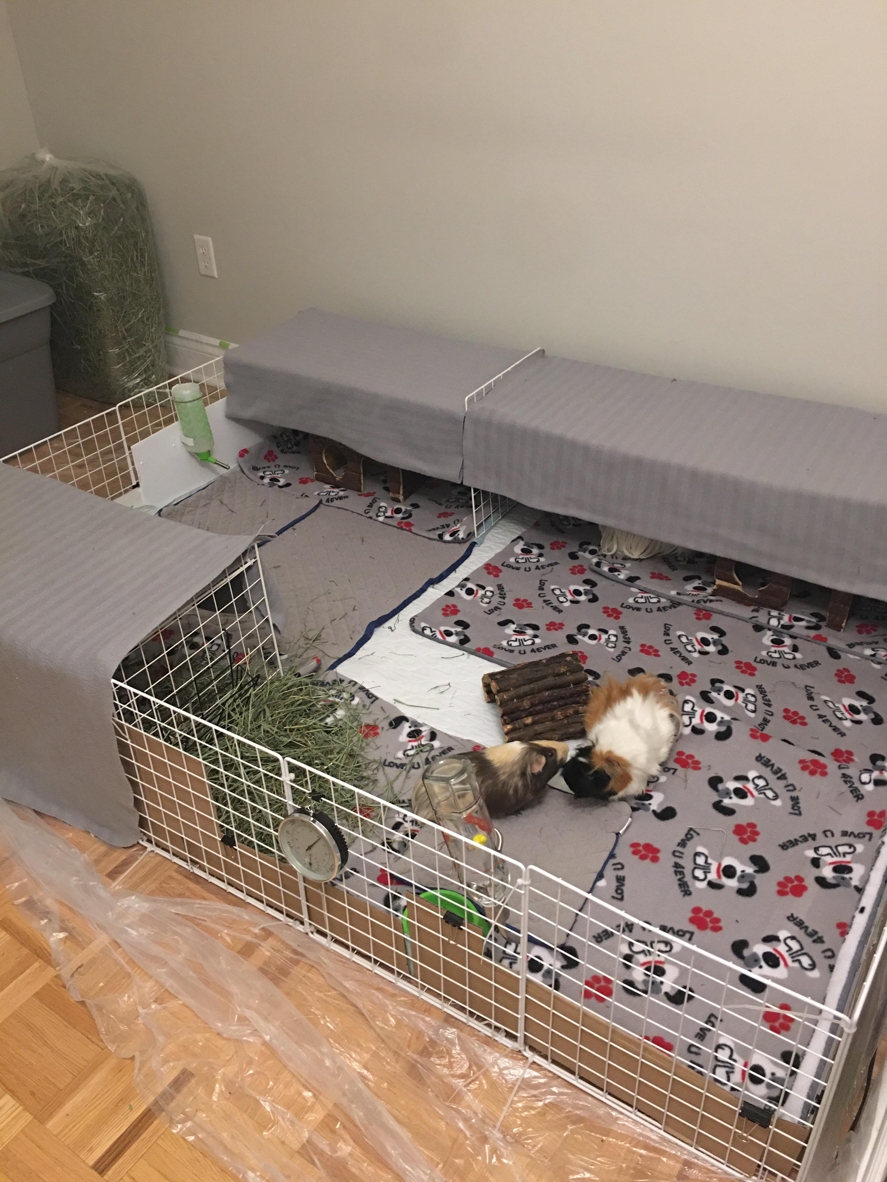 New cage setup 4x5, got more uhaul pads and fleece fabric coming in the