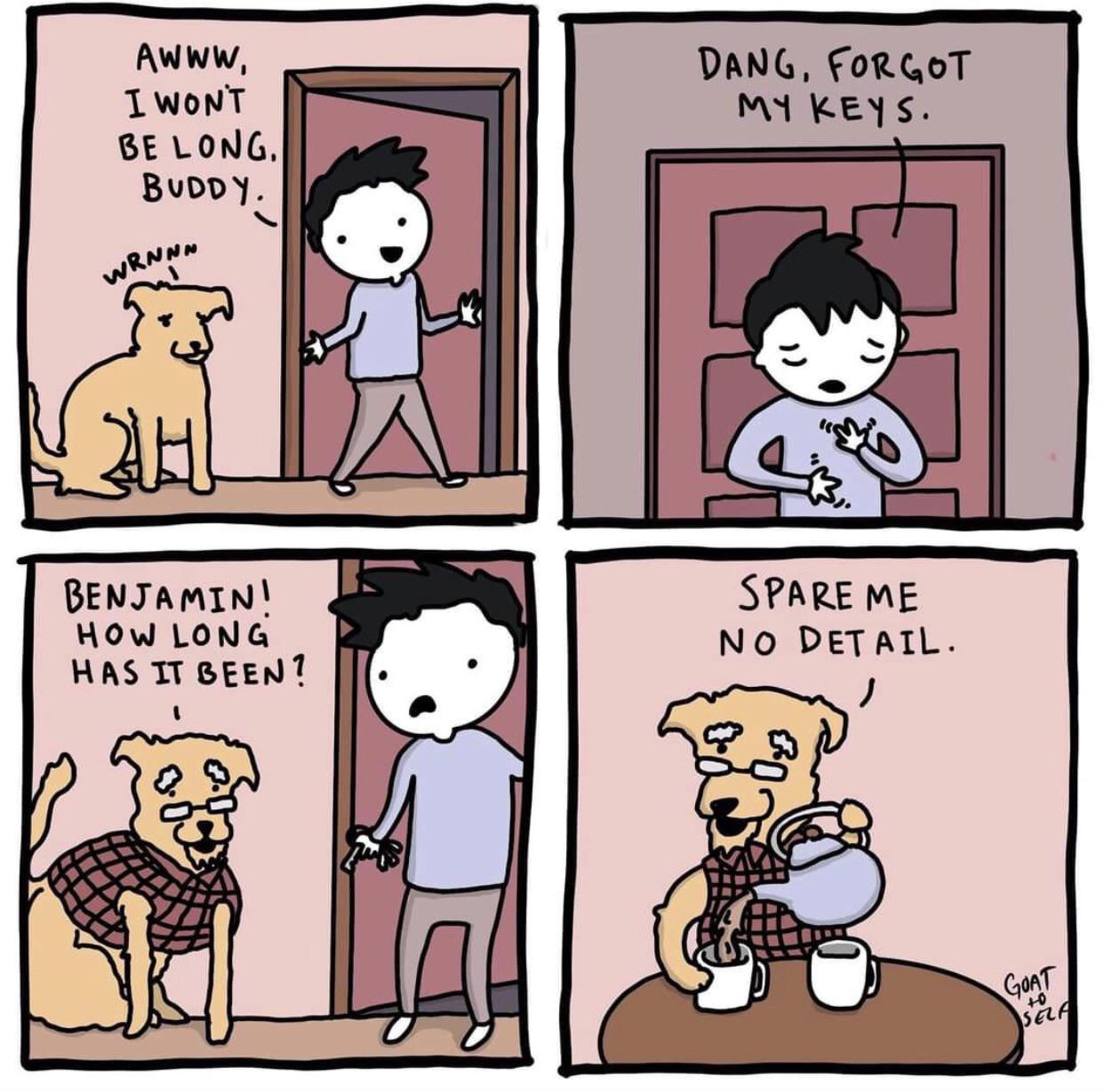 Dogs have no sense of time haha! r/terriblefacebookmemes