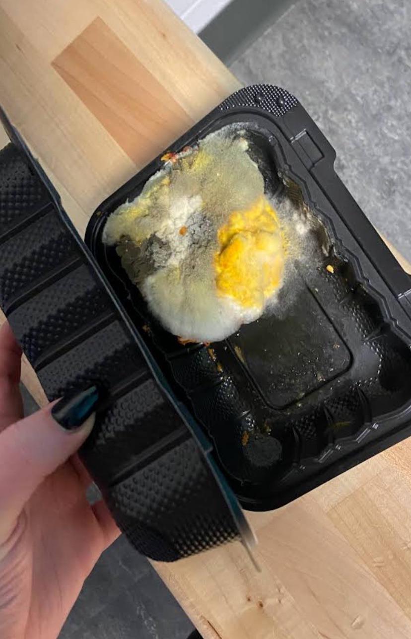 Moldy lasagna, photo taken last year r/moldyinteresting