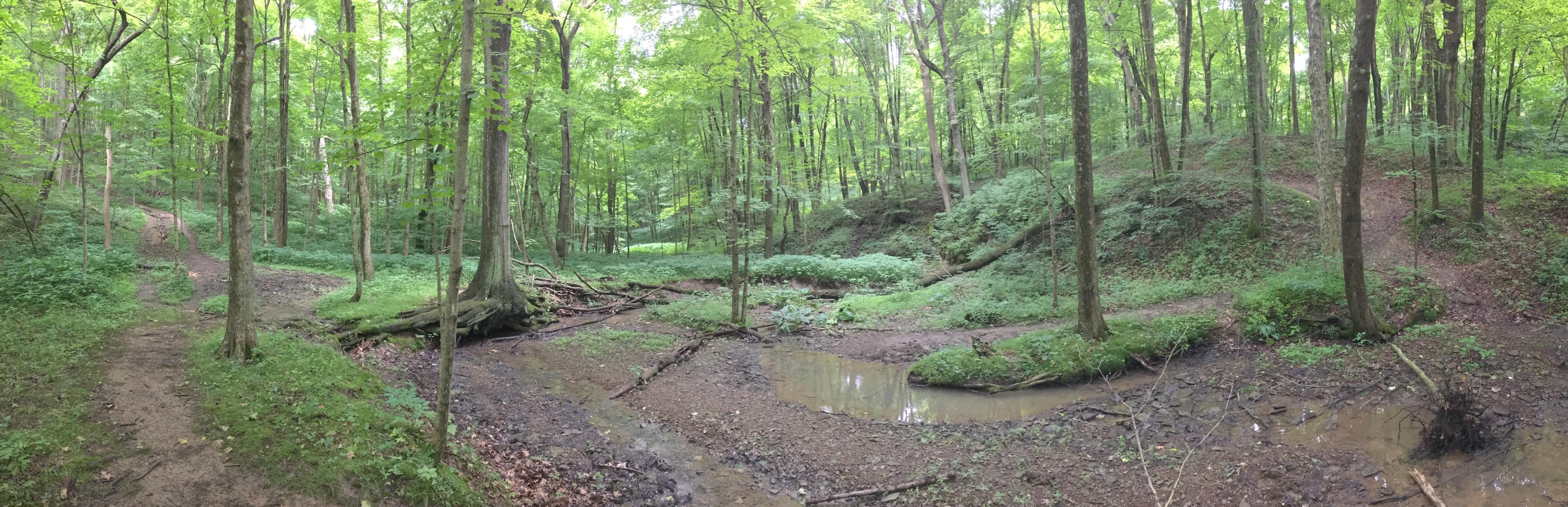 Mingo Creek County Park, Washington County, PA r/hiking