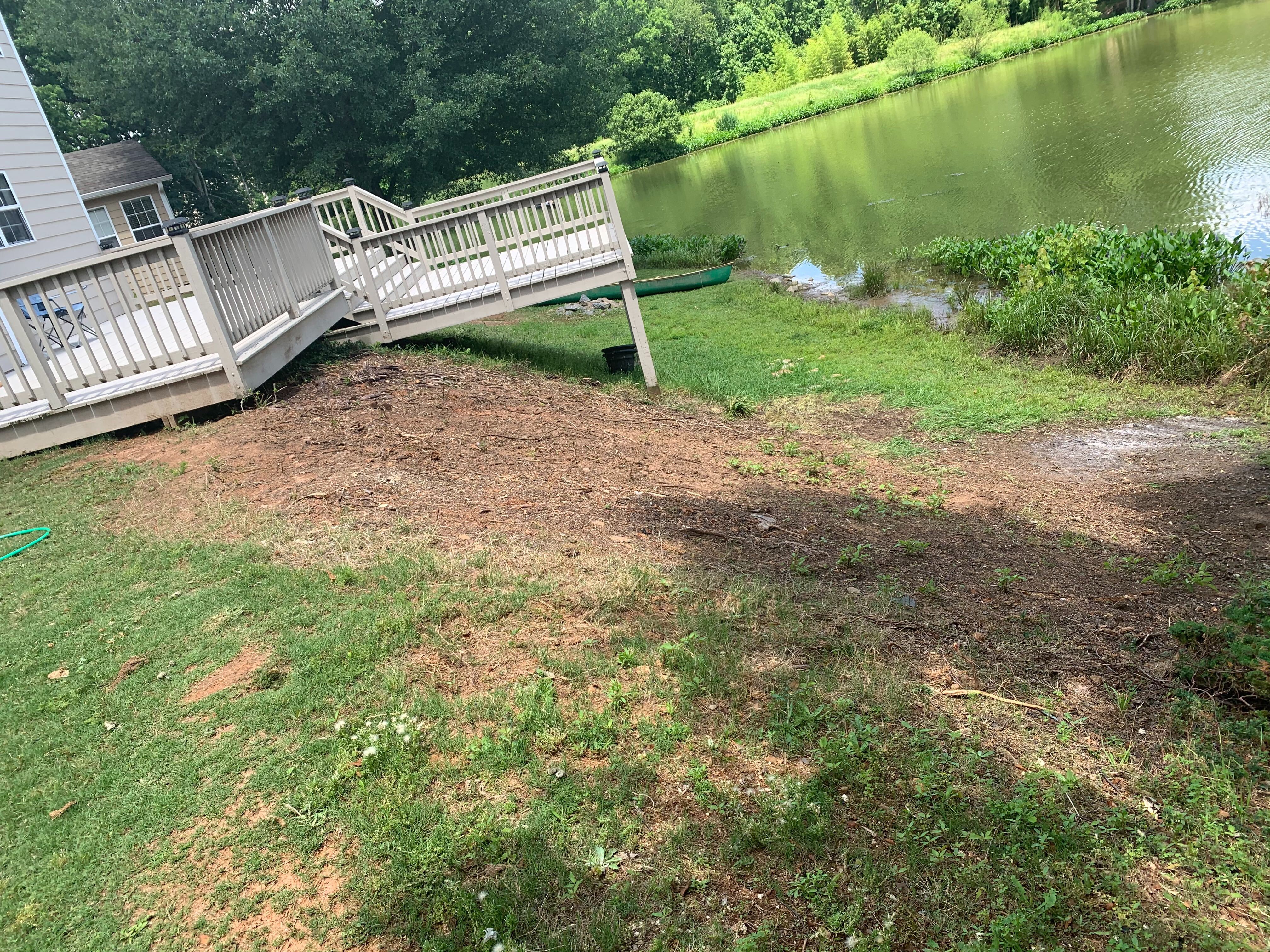 About Caring For Evergreens For deer Hunting Properties LandscapingTips