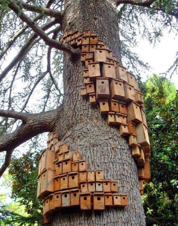 A bird hotel r/pics
