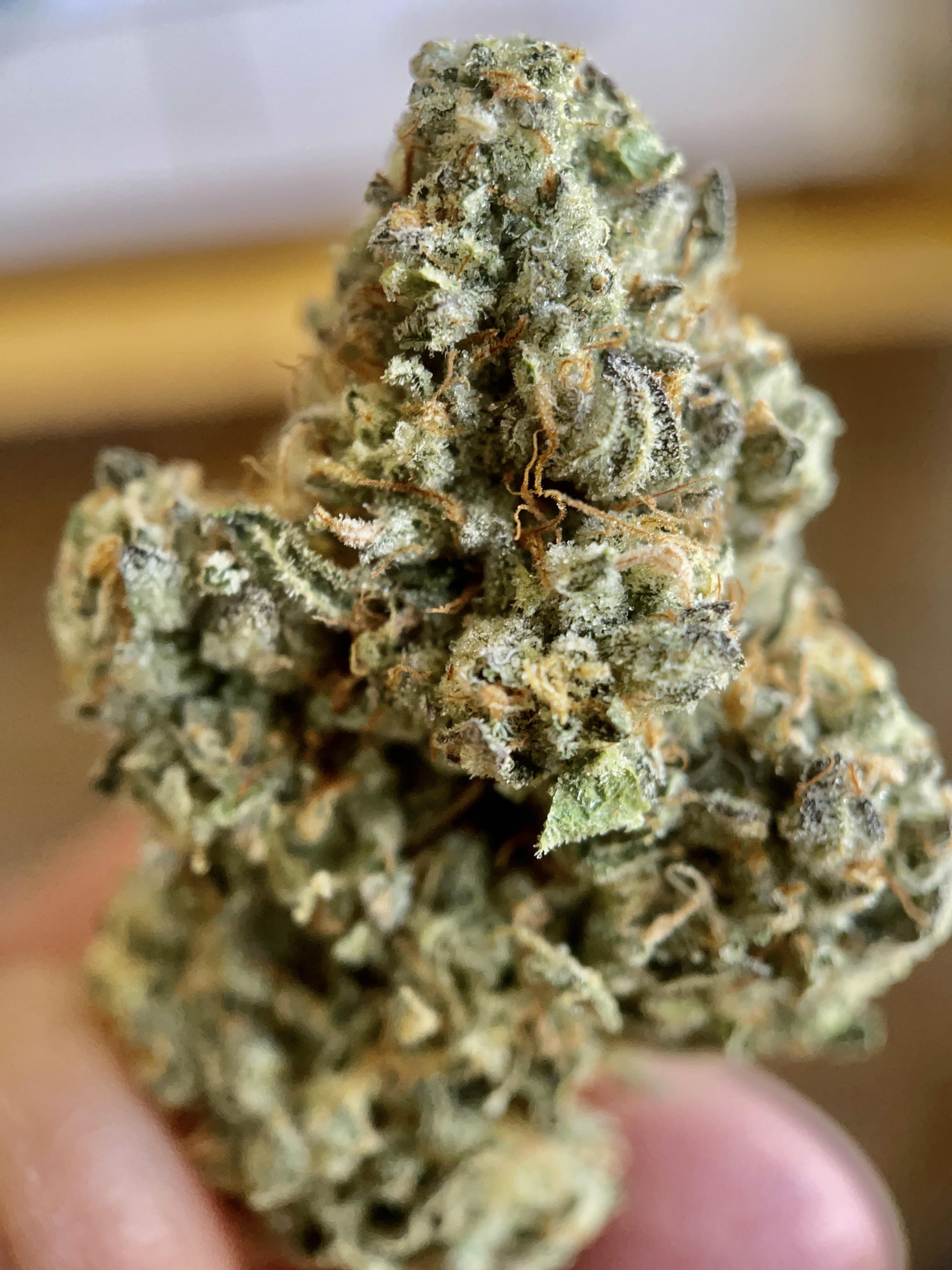 Fuel Biscuits by Alt Sol r/DistrictofEnts