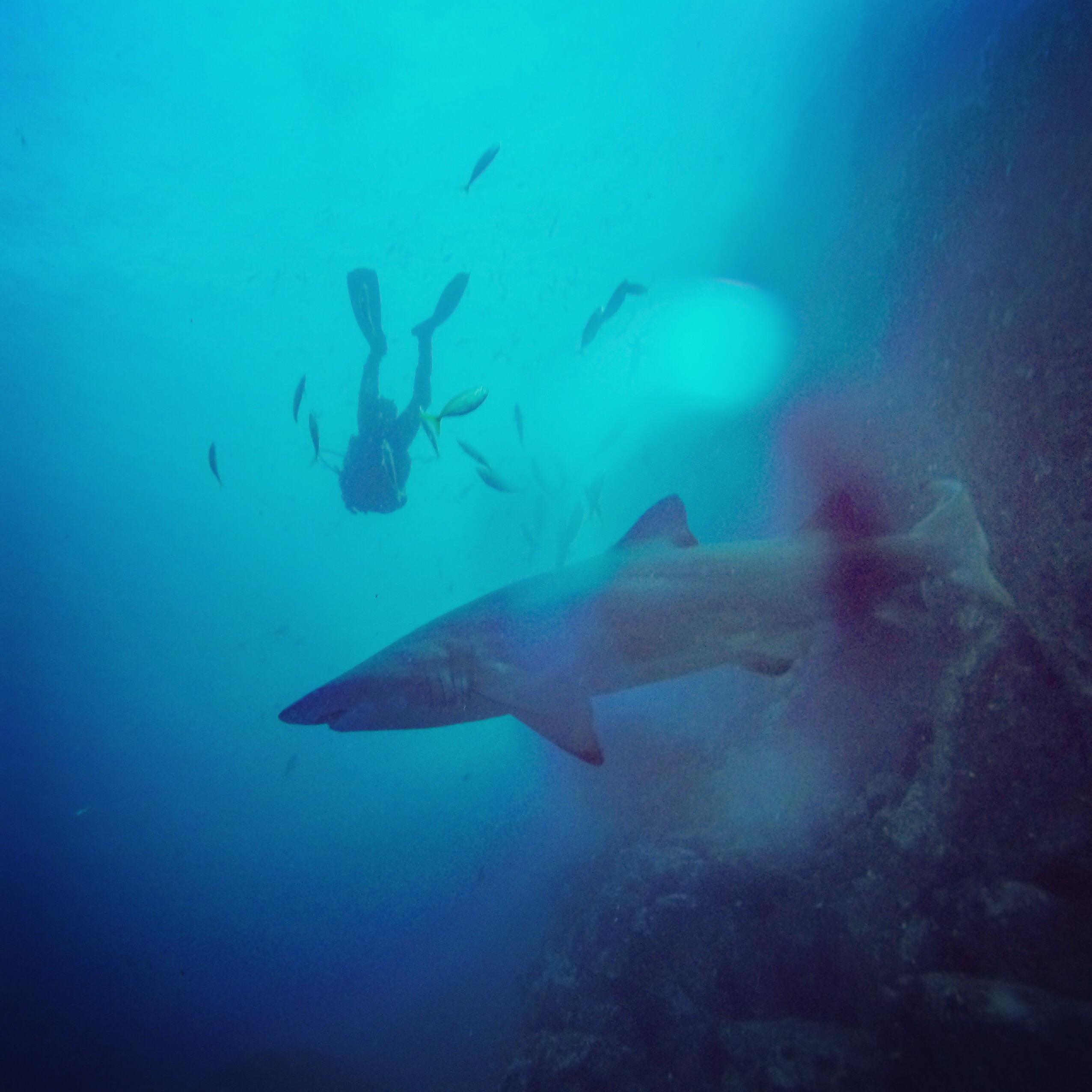 Dove here on from reddit... 8/10 first day hoping for a bit better conditions