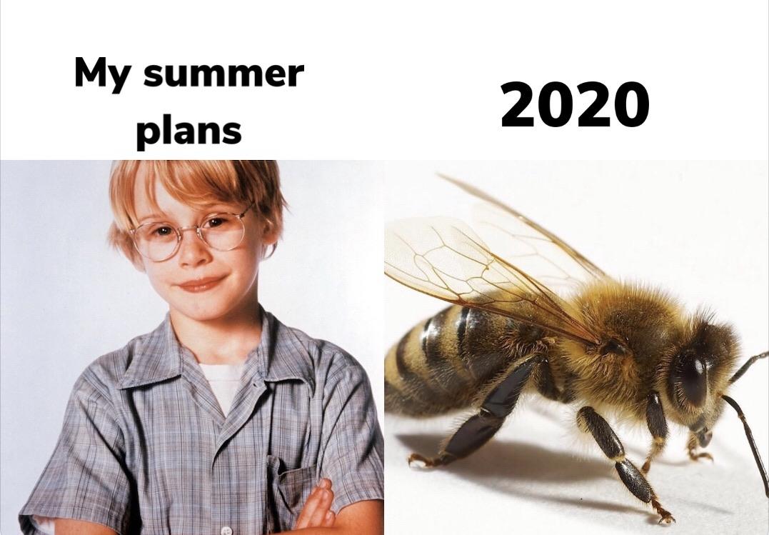 I can’t see without my glasses r/dankmemes