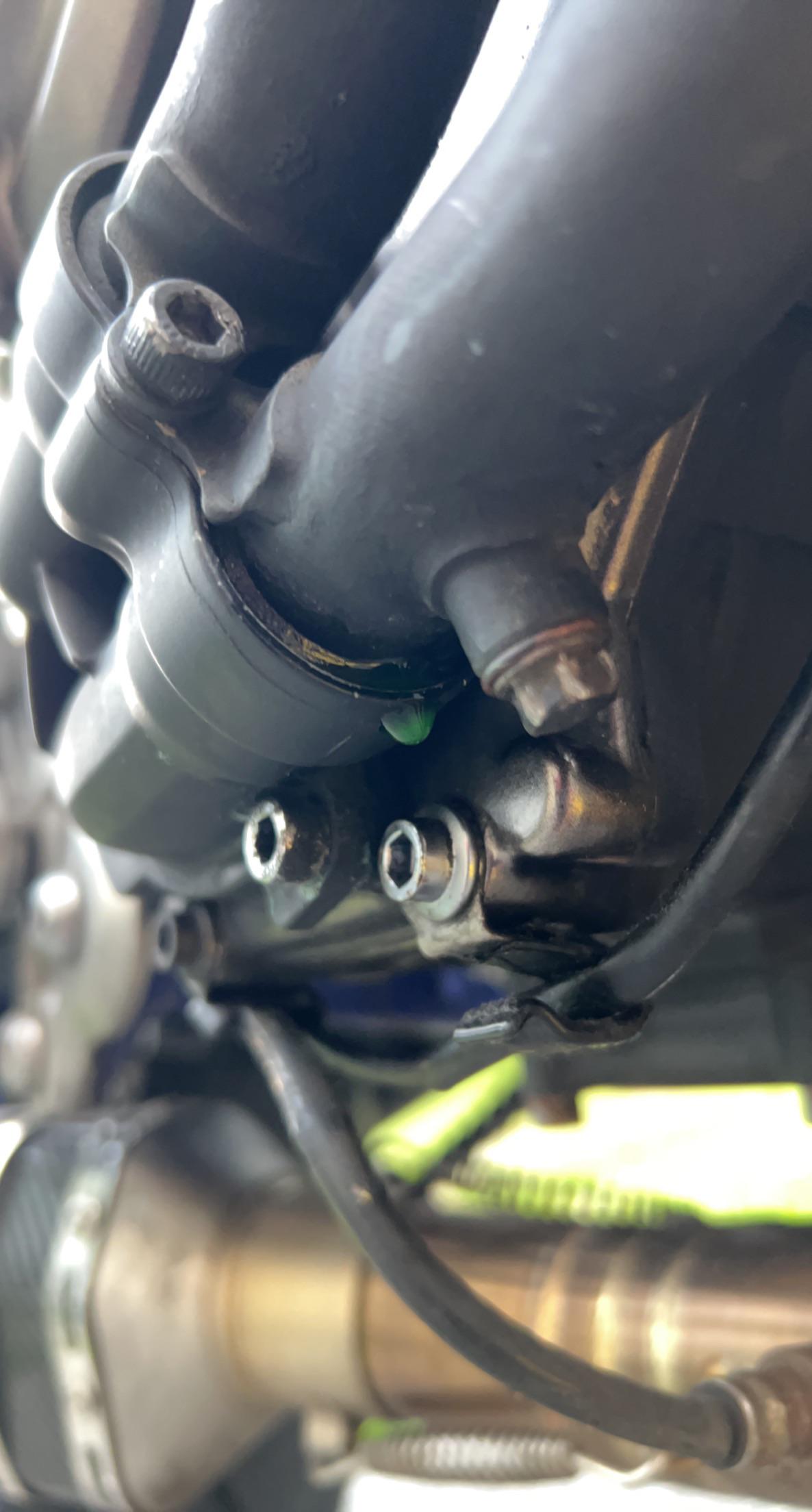 Water pump leak after coolant change. Should I buy new gaskets or a new