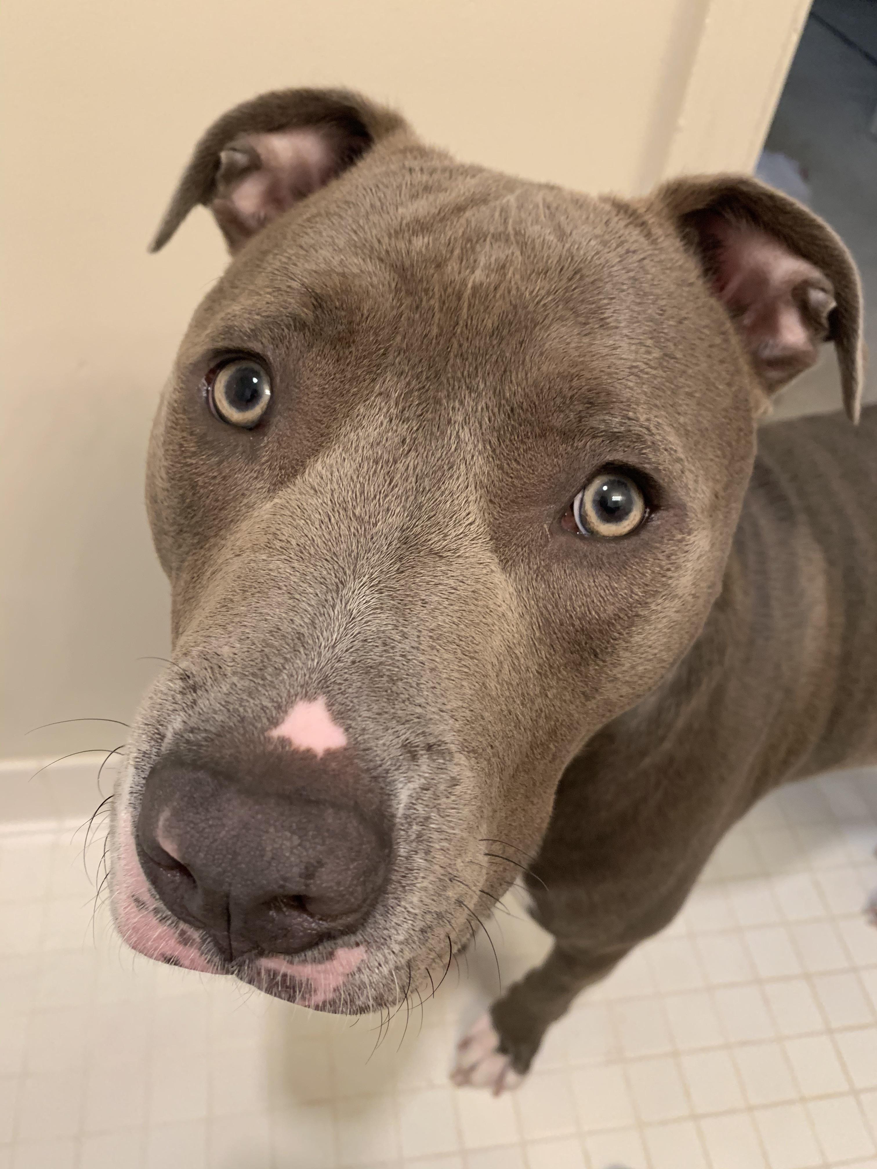 We’ve been having a rough time finding a new place to rent because we