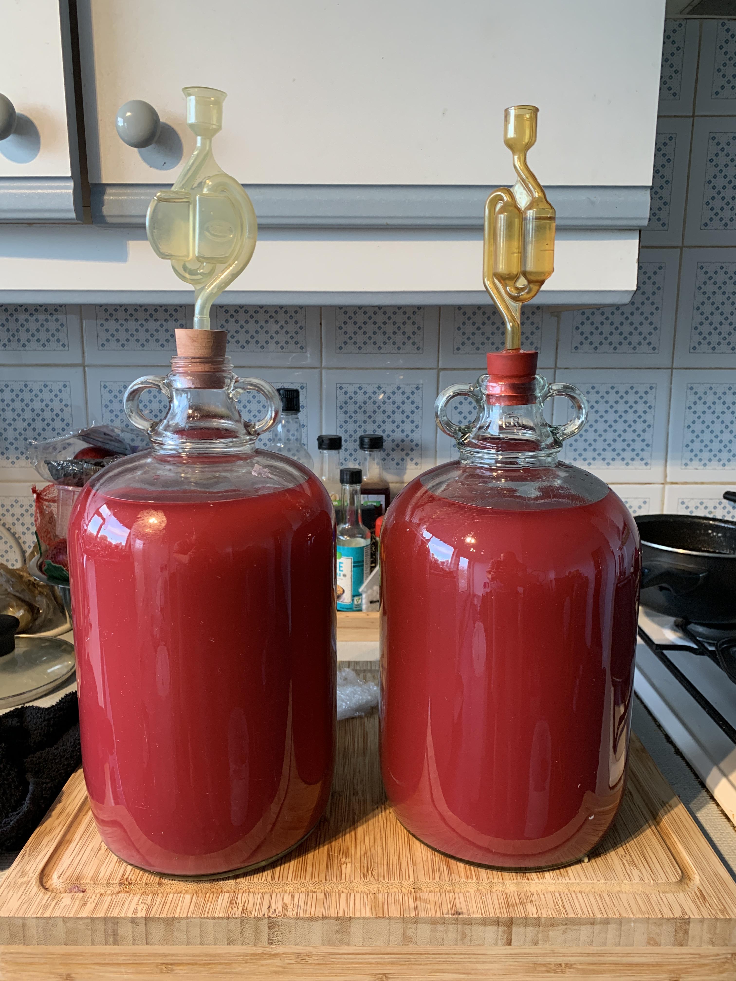 Strawberry, blueberry and blackberry second fermentation. r/winemaking
