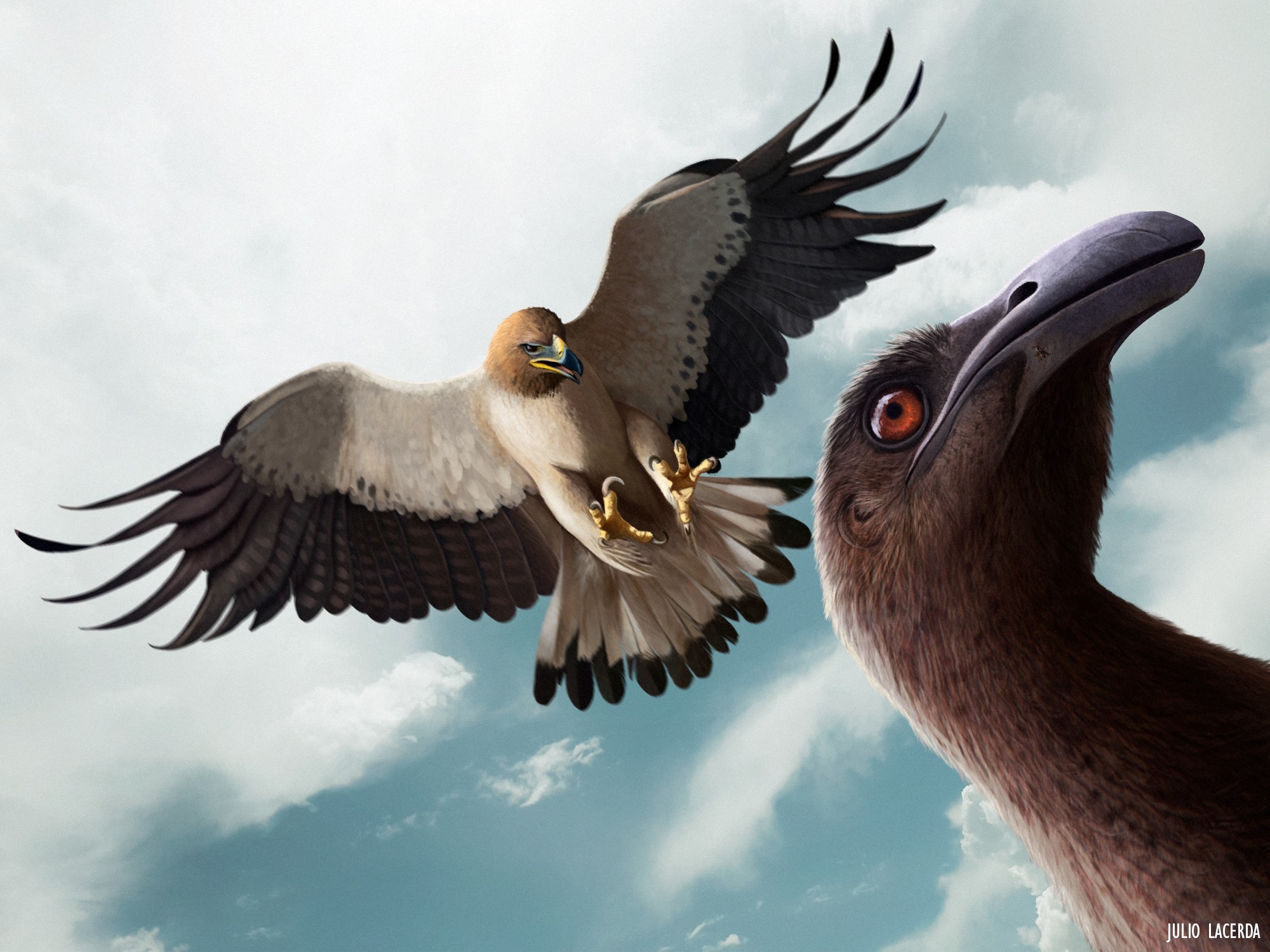 Haast's Eagle about to sink its talons into a Moa's head. r