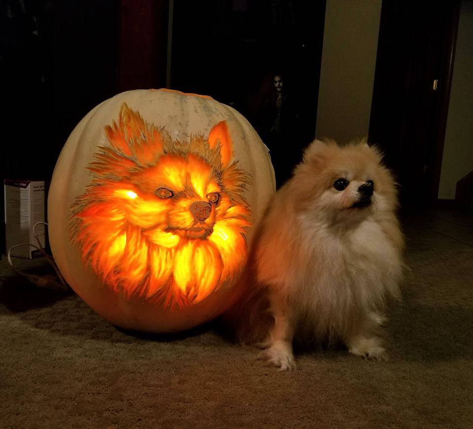 Dog Pumpkin Carving r/Eyebleach
