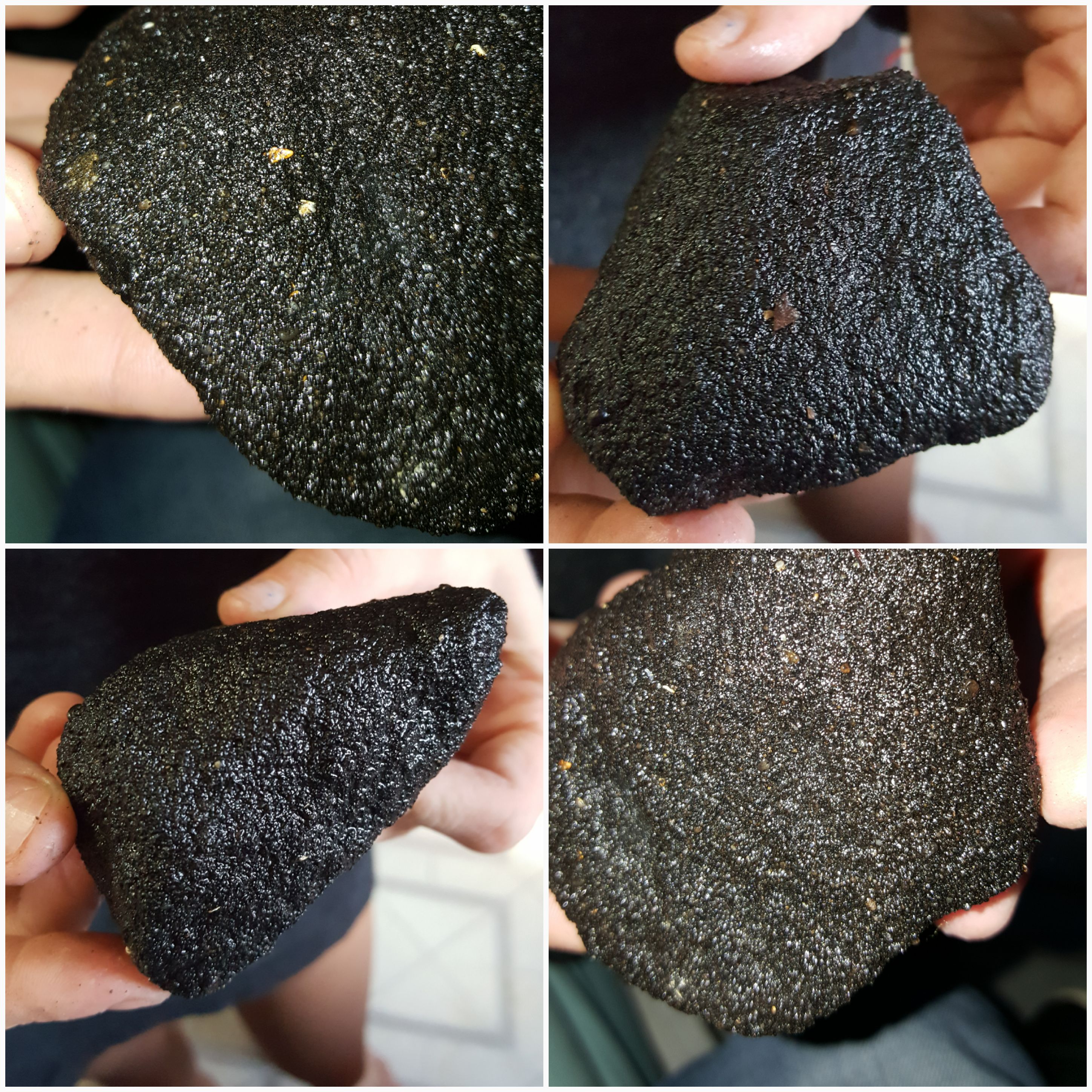 Black rock found on Florida beach. Lighter in weight than a normal rock