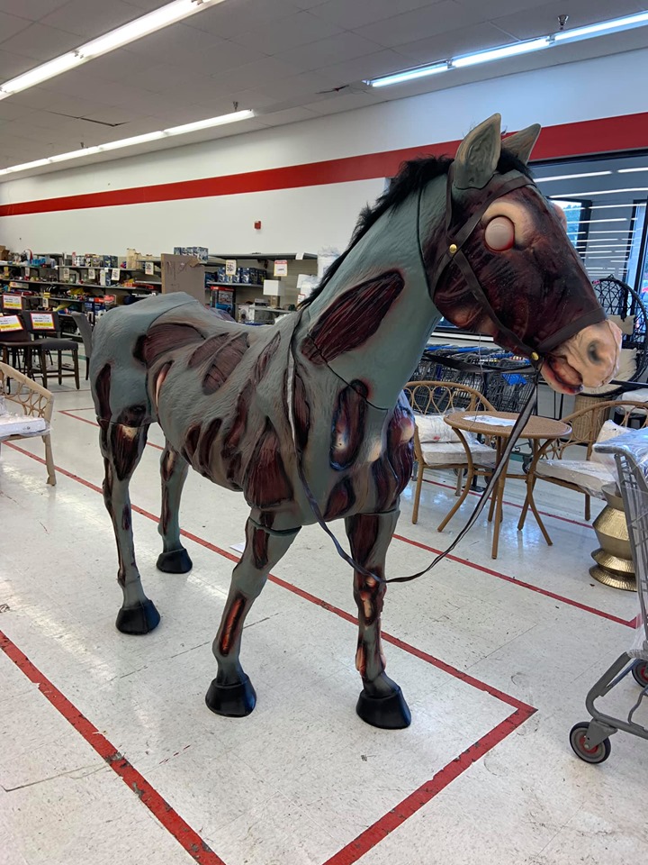 Zombie Horse. weirdsecondhandfinds weirdsecondhandfinds r
