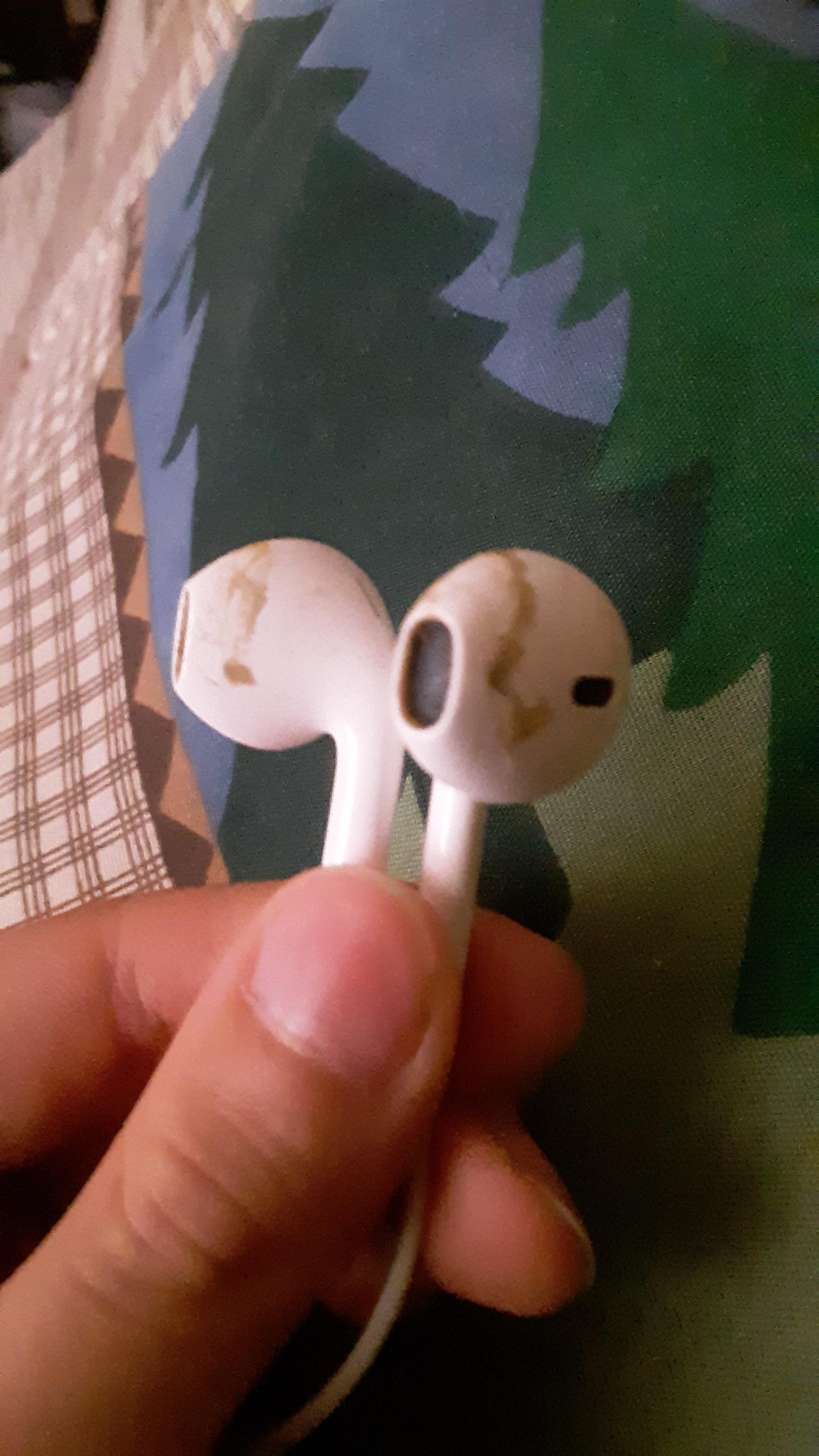 Earwaxcovered earbuds r/mildlyinfuriating