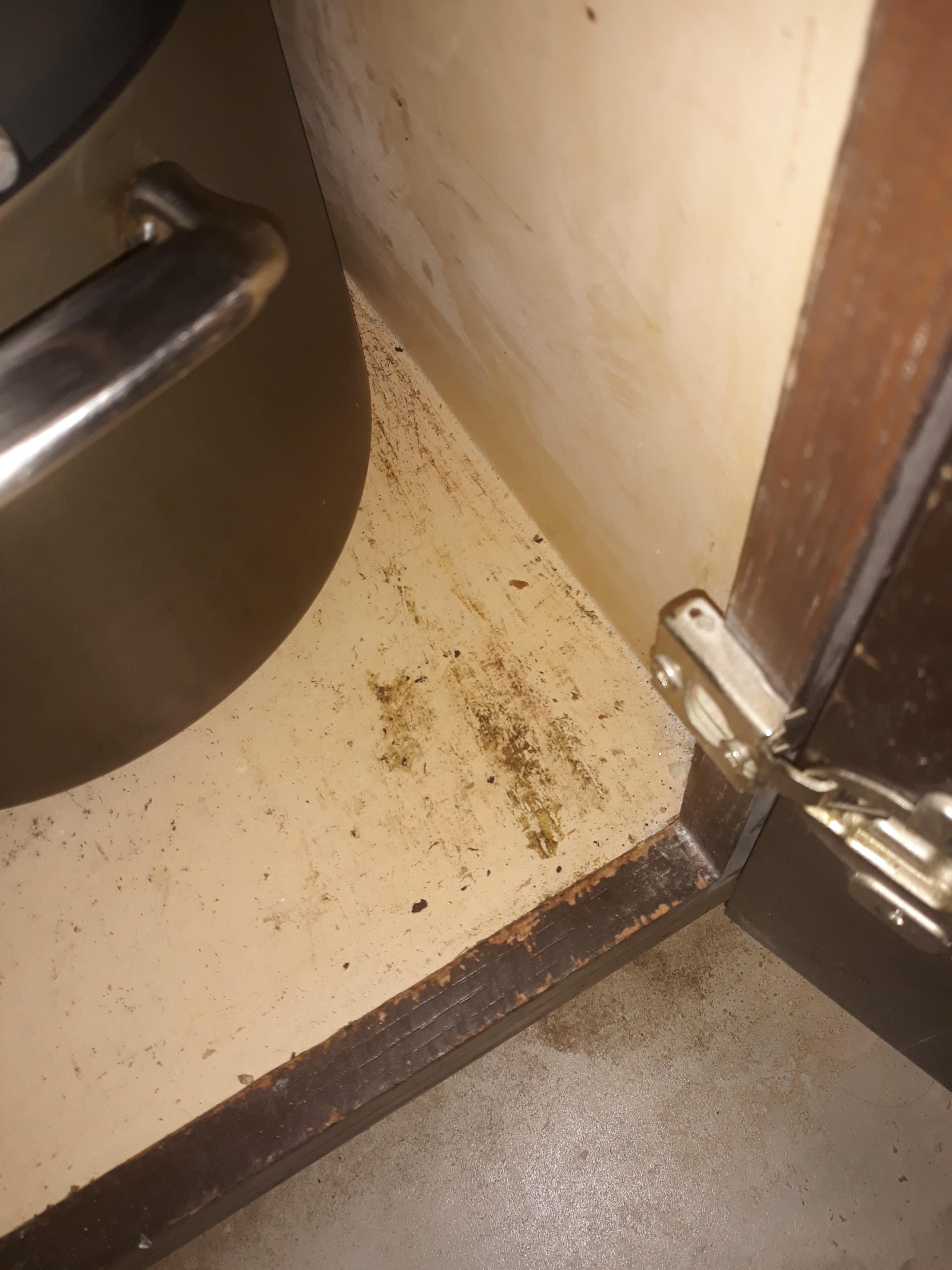 Is this black mold (poisonous) I came to reddit because you guys know