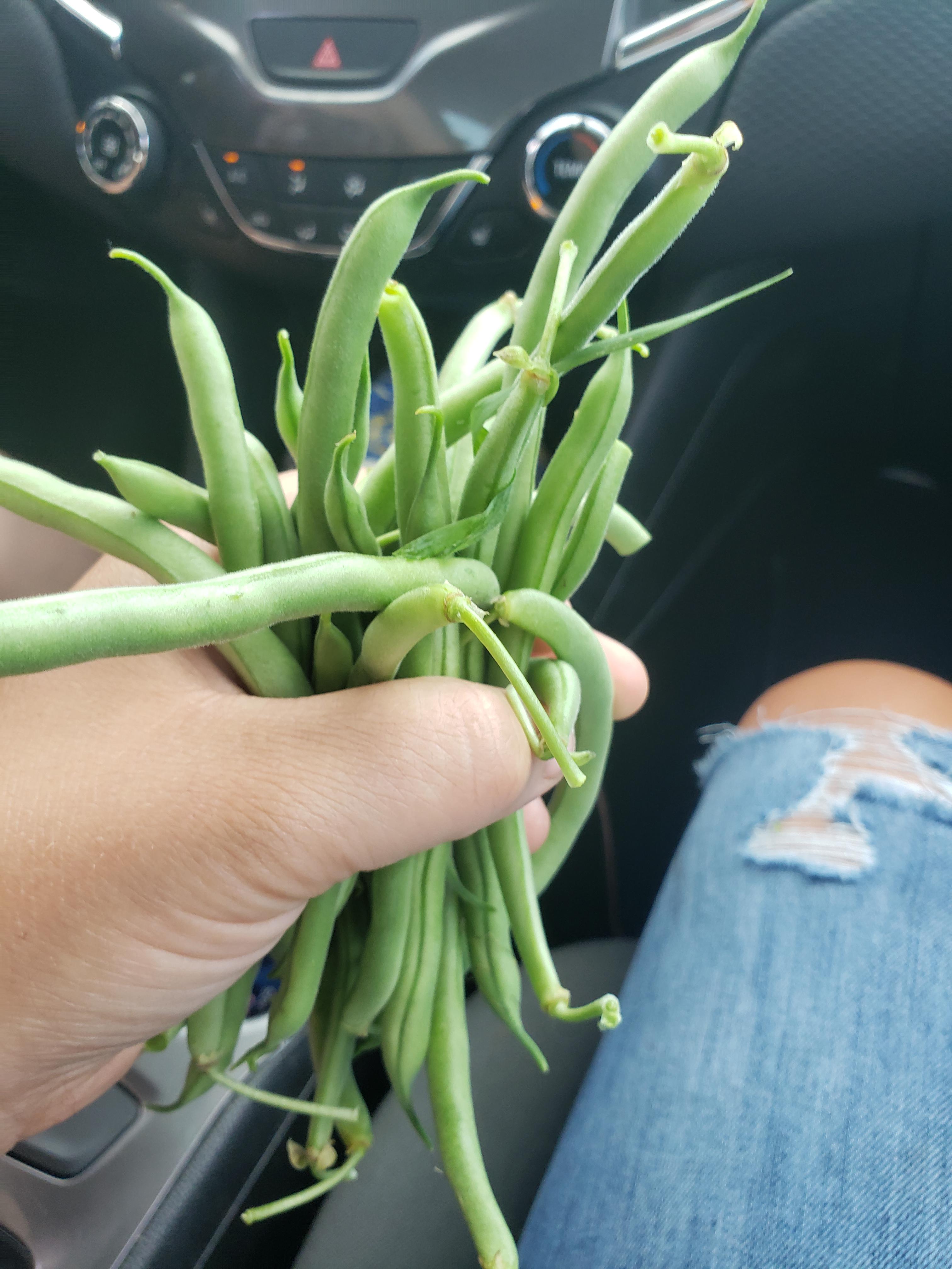 Not much, but I joined a community garden despite having a downtown apt