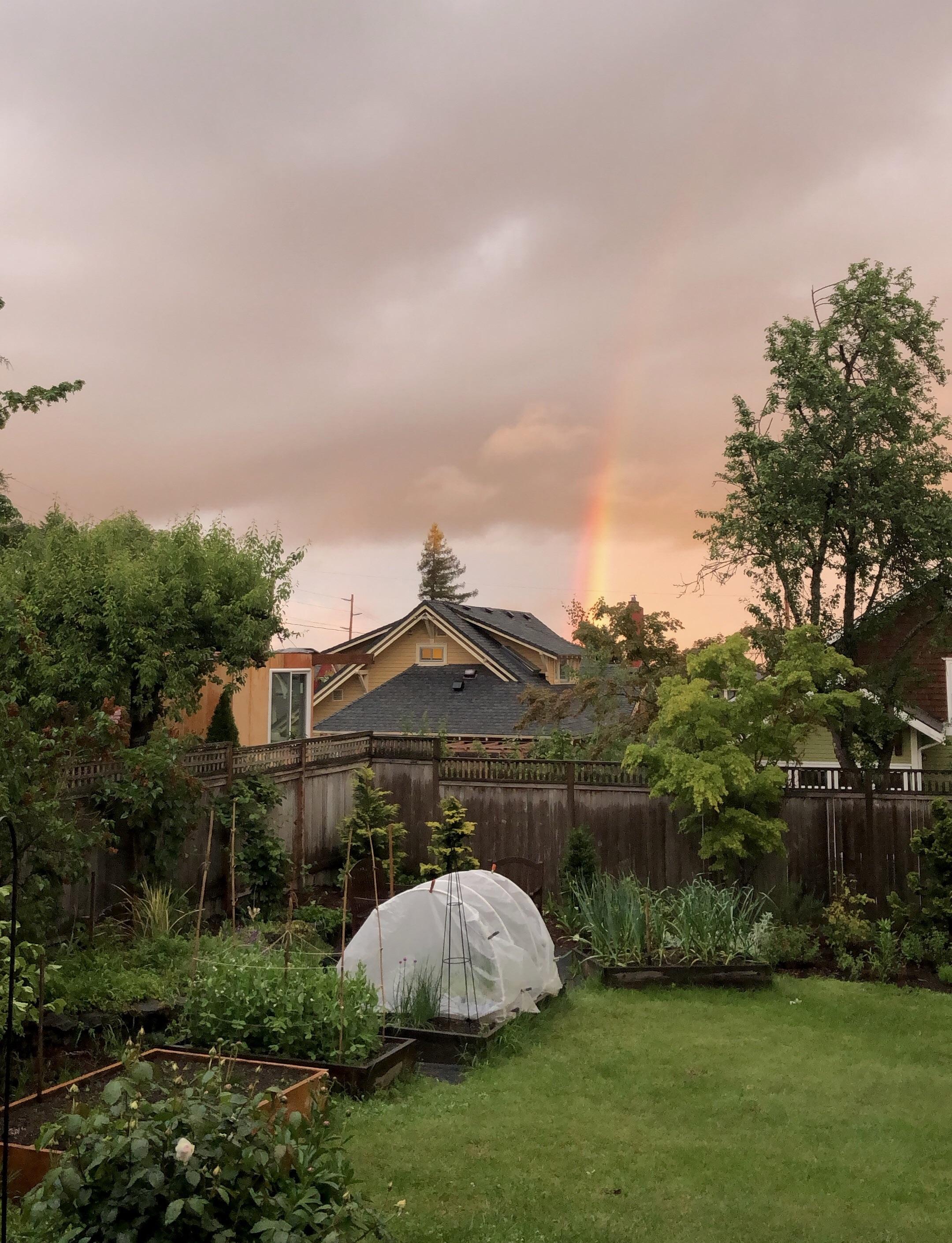 backyard views r/Portland