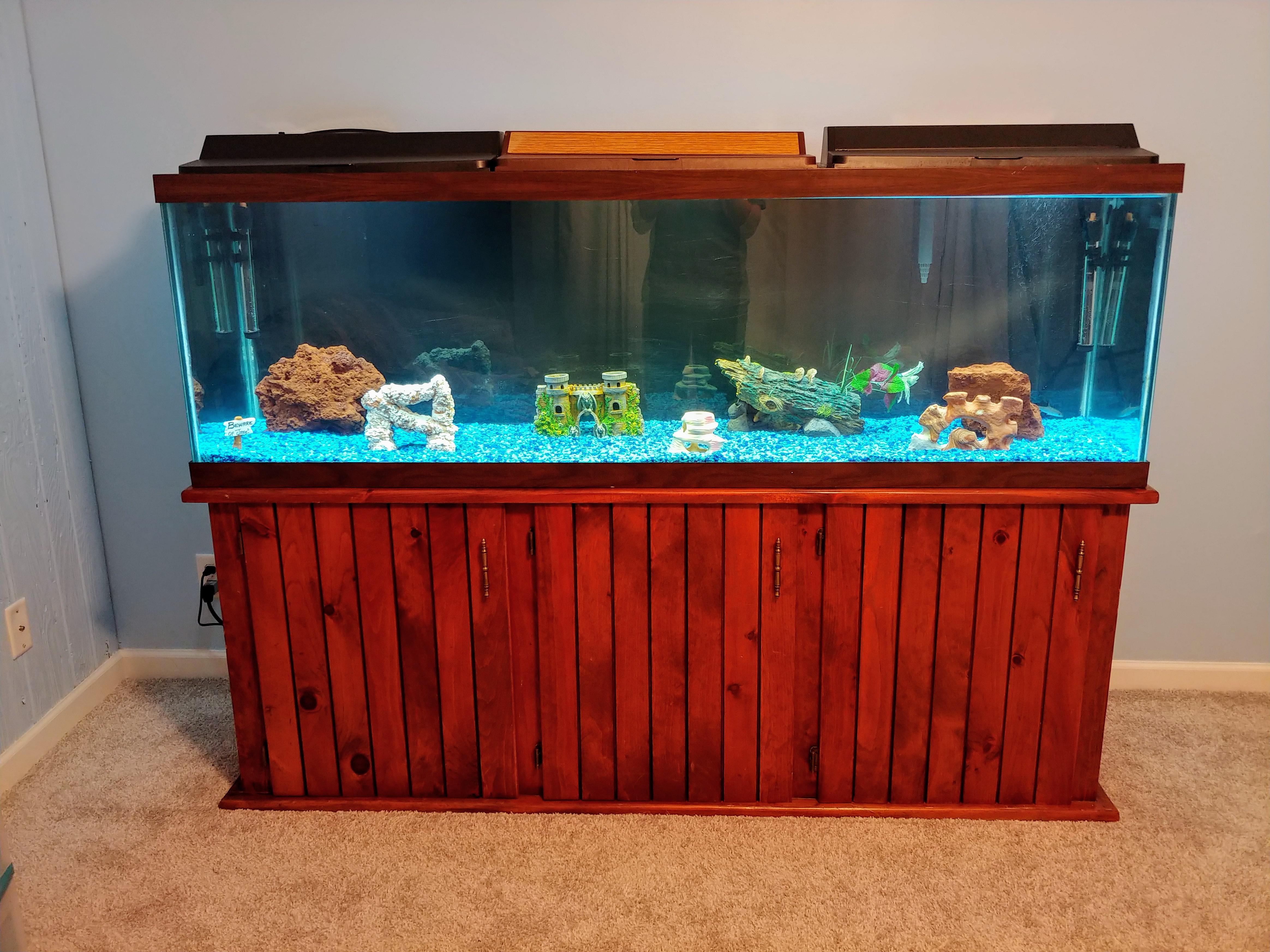 250 gallons of pure happiness r/Aquariums