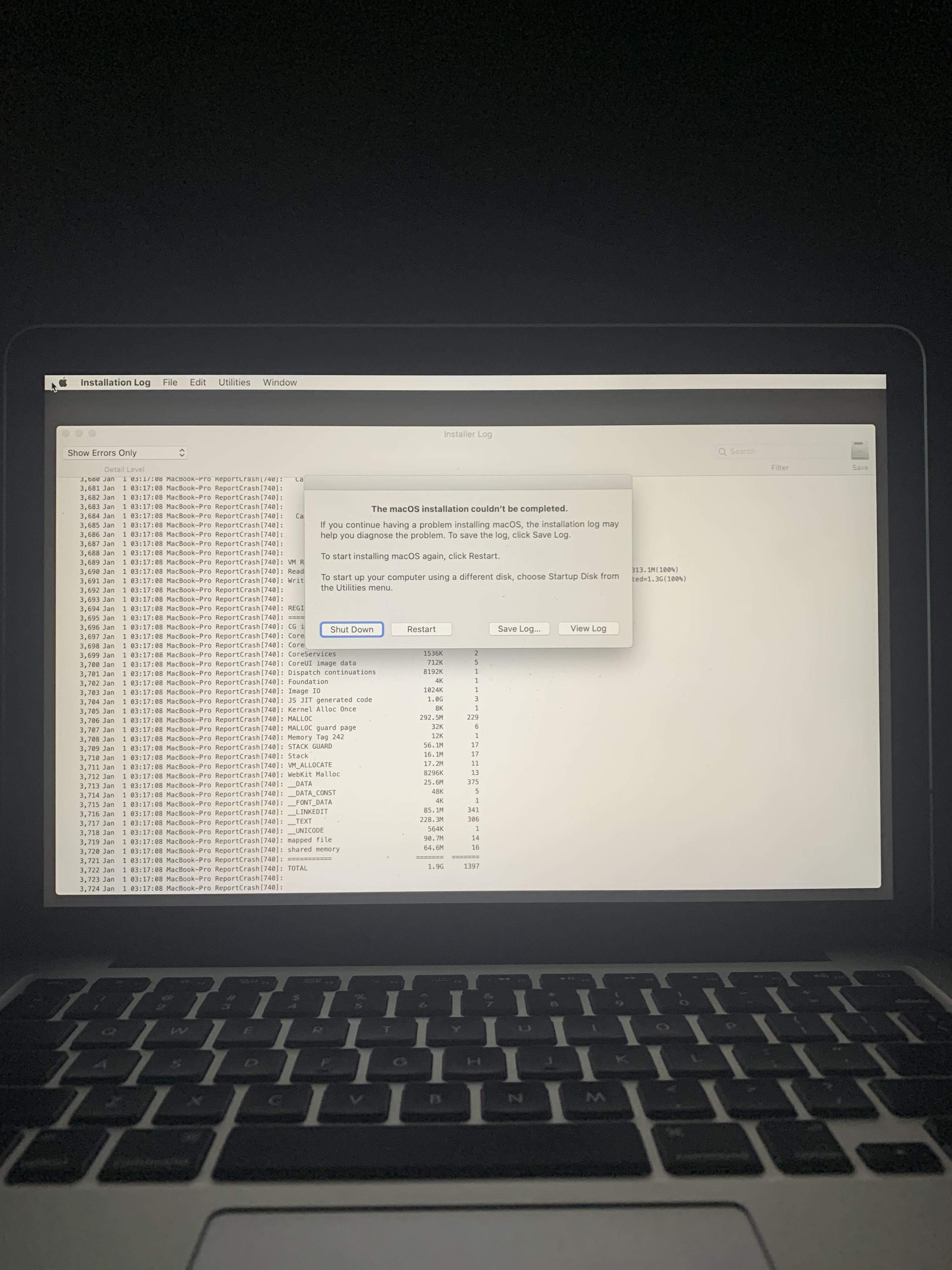 Before this happen(picture) my 2015 MacBook Pro worked but i would