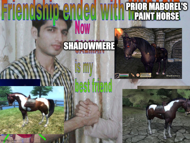 Anyone ever buy a horse or just stick with these two? r/oblivion