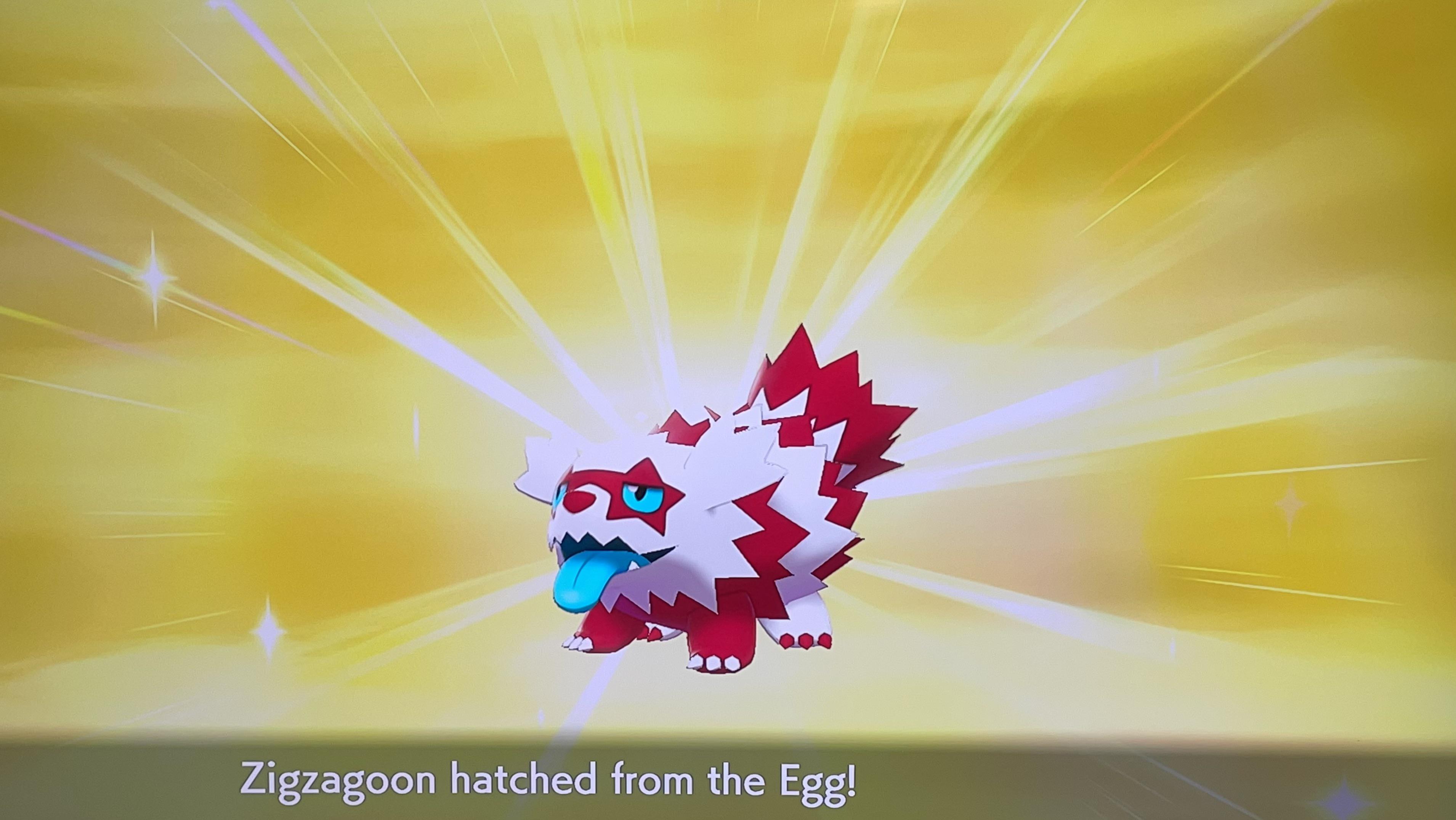 125 eggs! My first shiny from breeding! PokemonSwordAndShield